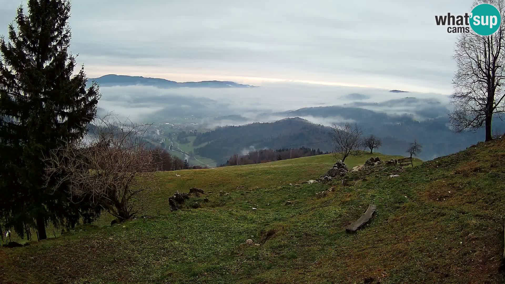 Slajka webam | Gorenja vas | Slovenia