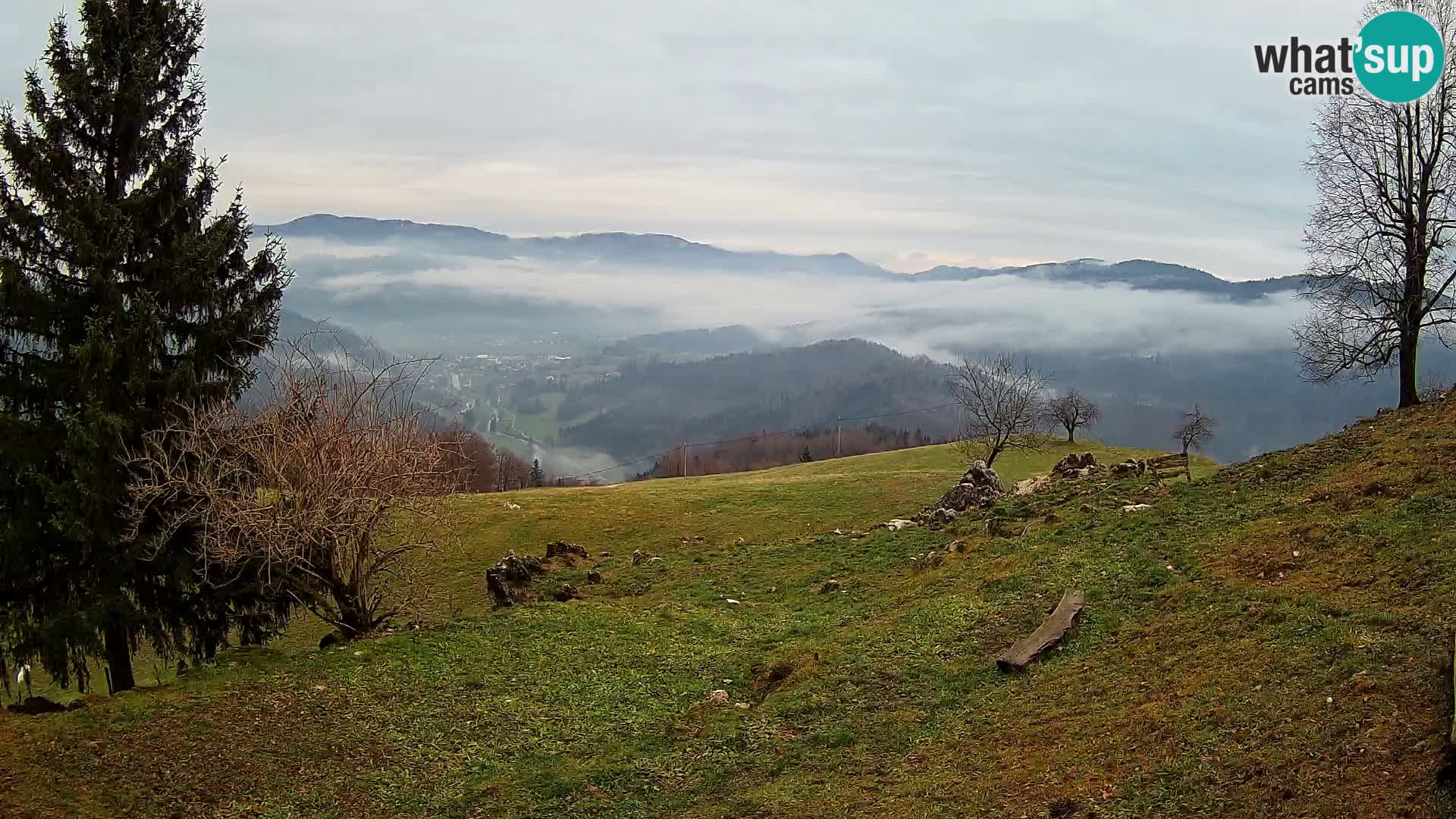 Slajka web kamera | Gorenja Vas | Slovenija