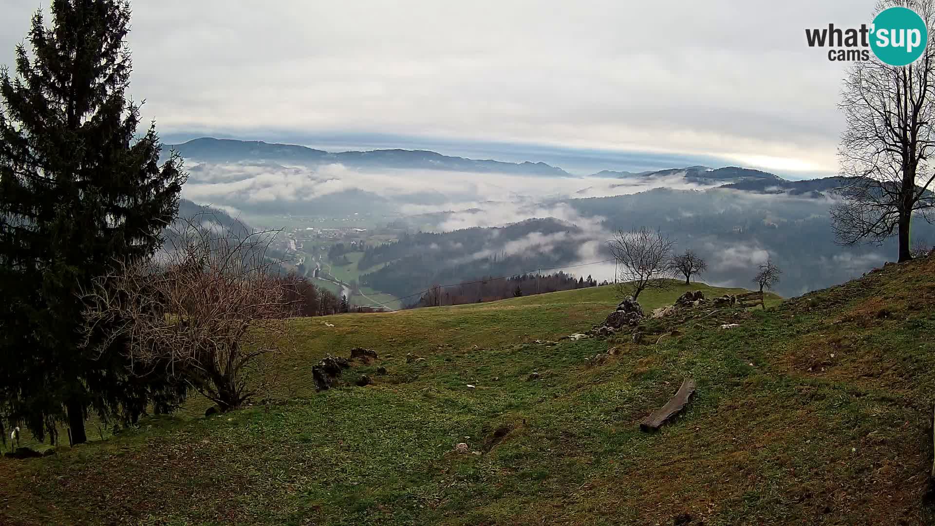 Slajka webam | Gorenja vas | Slovenia