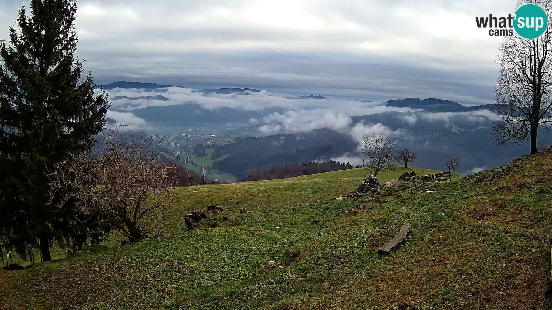 Slajka livecam | Gorenja Vas | Slovénie