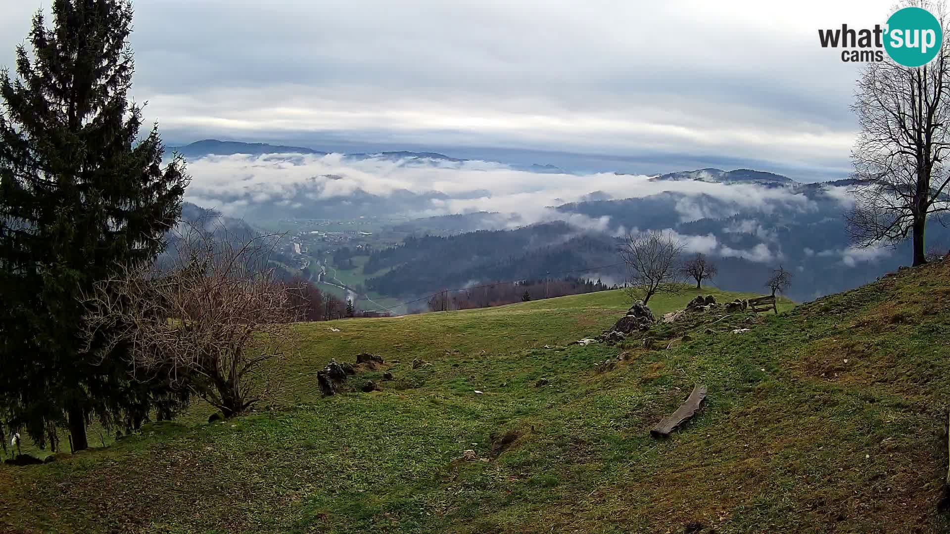 Slajka livecam | Gorenja Vas | Slovénie