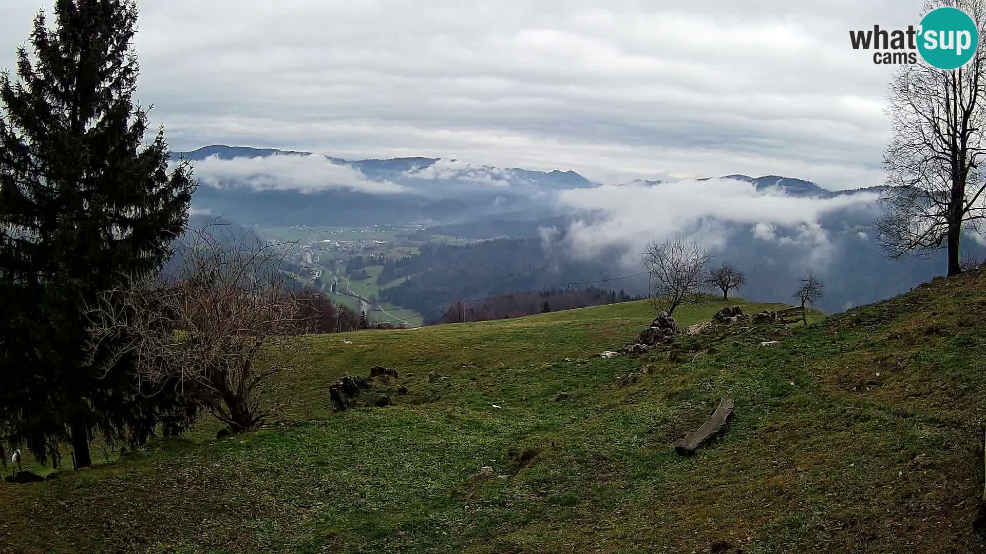 Slajka webcam | Gorenja Vas | Slowenien