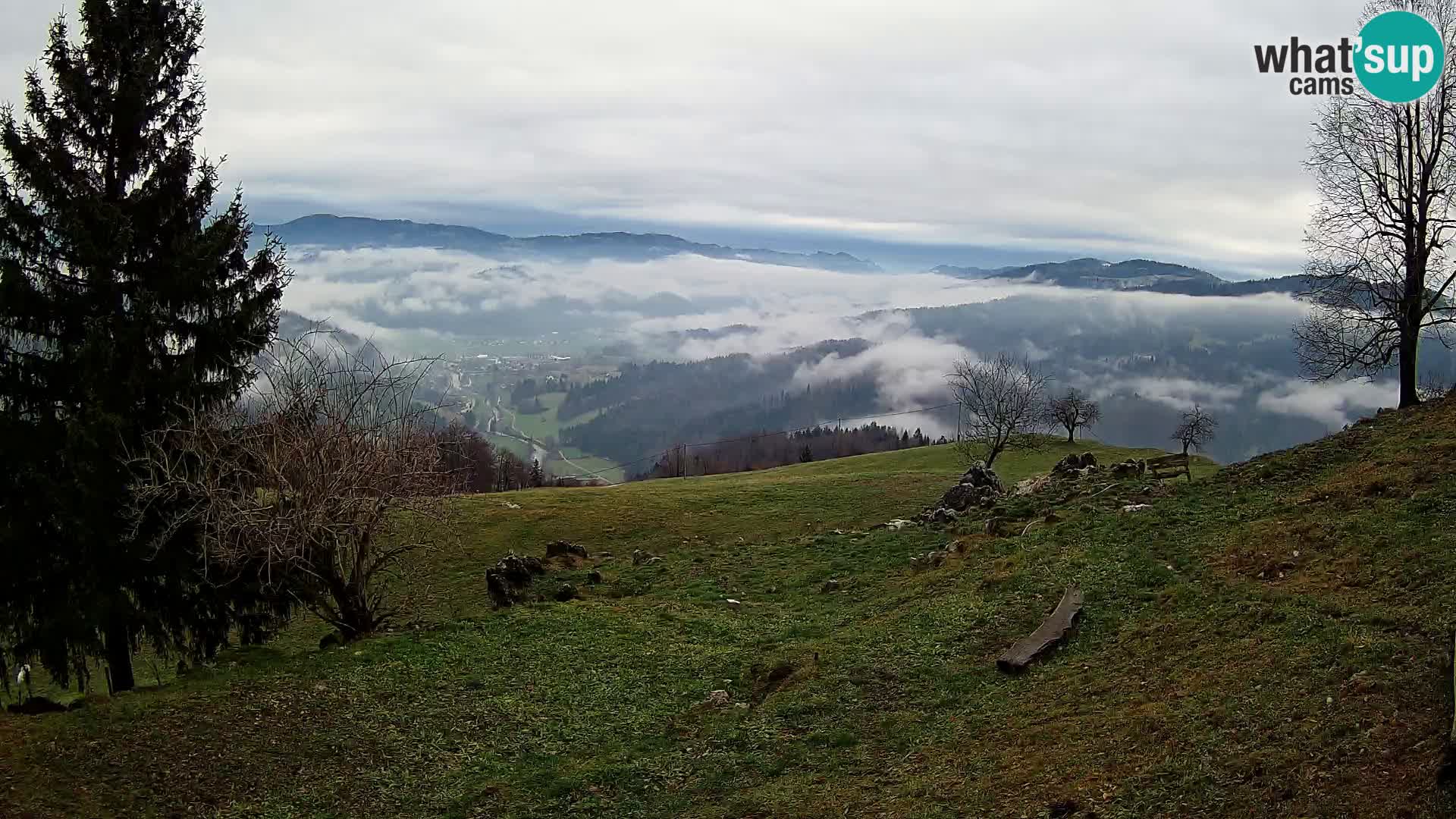 Slajka camera en vivo | Gorenja Vas | Eslovenia