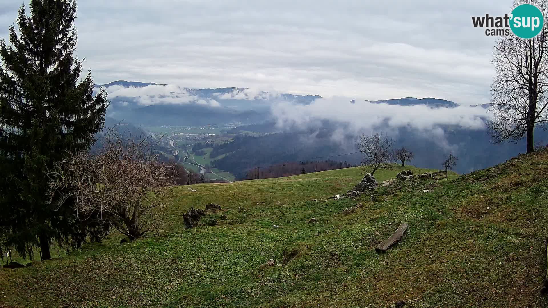 Slajka camera en vivo | Gorenja Vas | Eslovenia