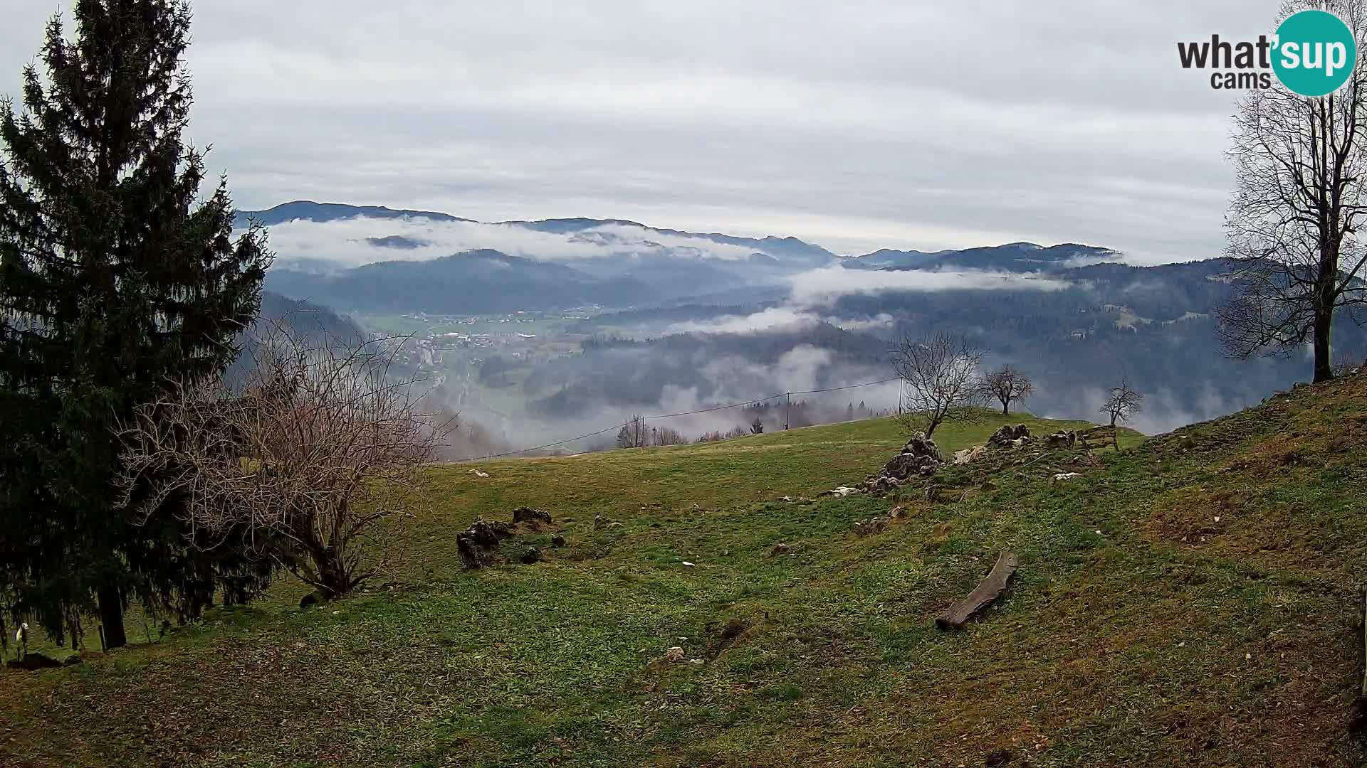 Slajka camera en vivo | Gorenja Vas | Eslovenia