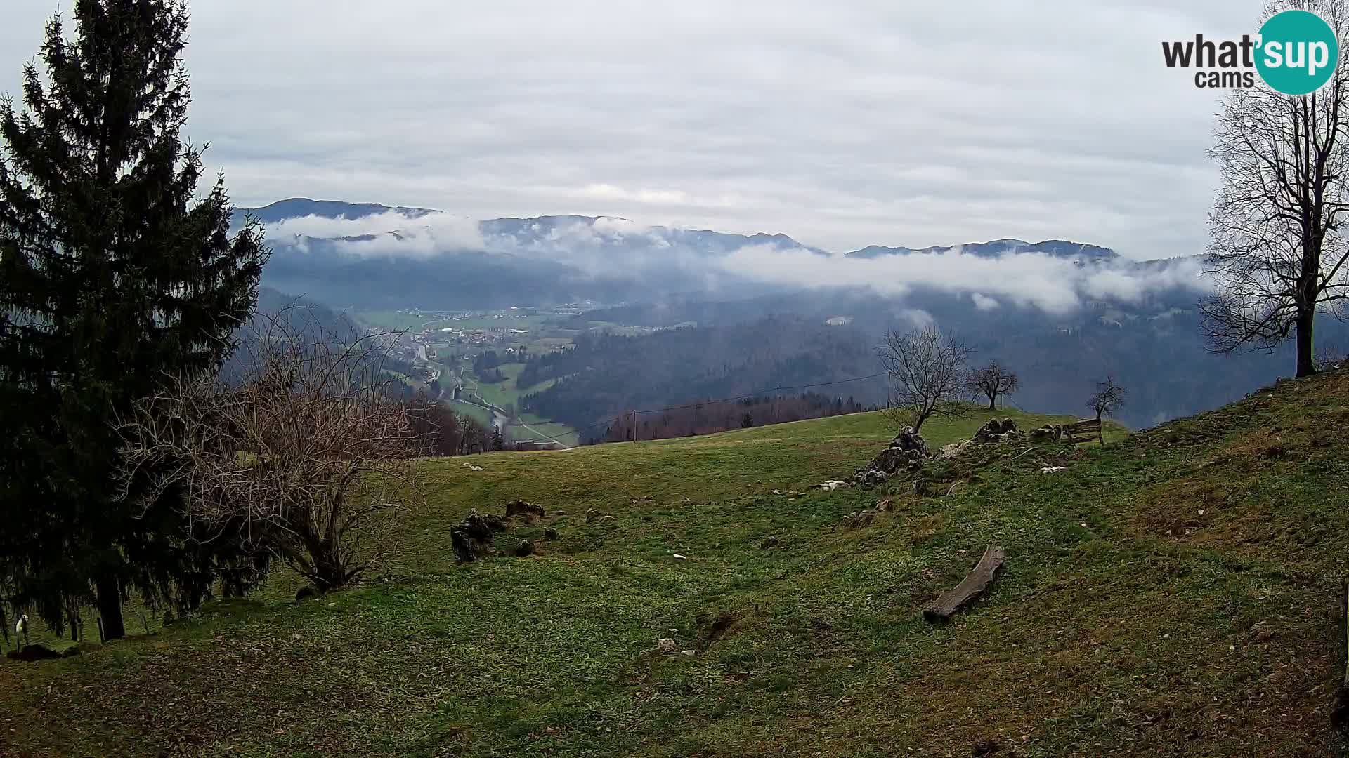 Slajka livecam | Gorenja Vas | Slovénie