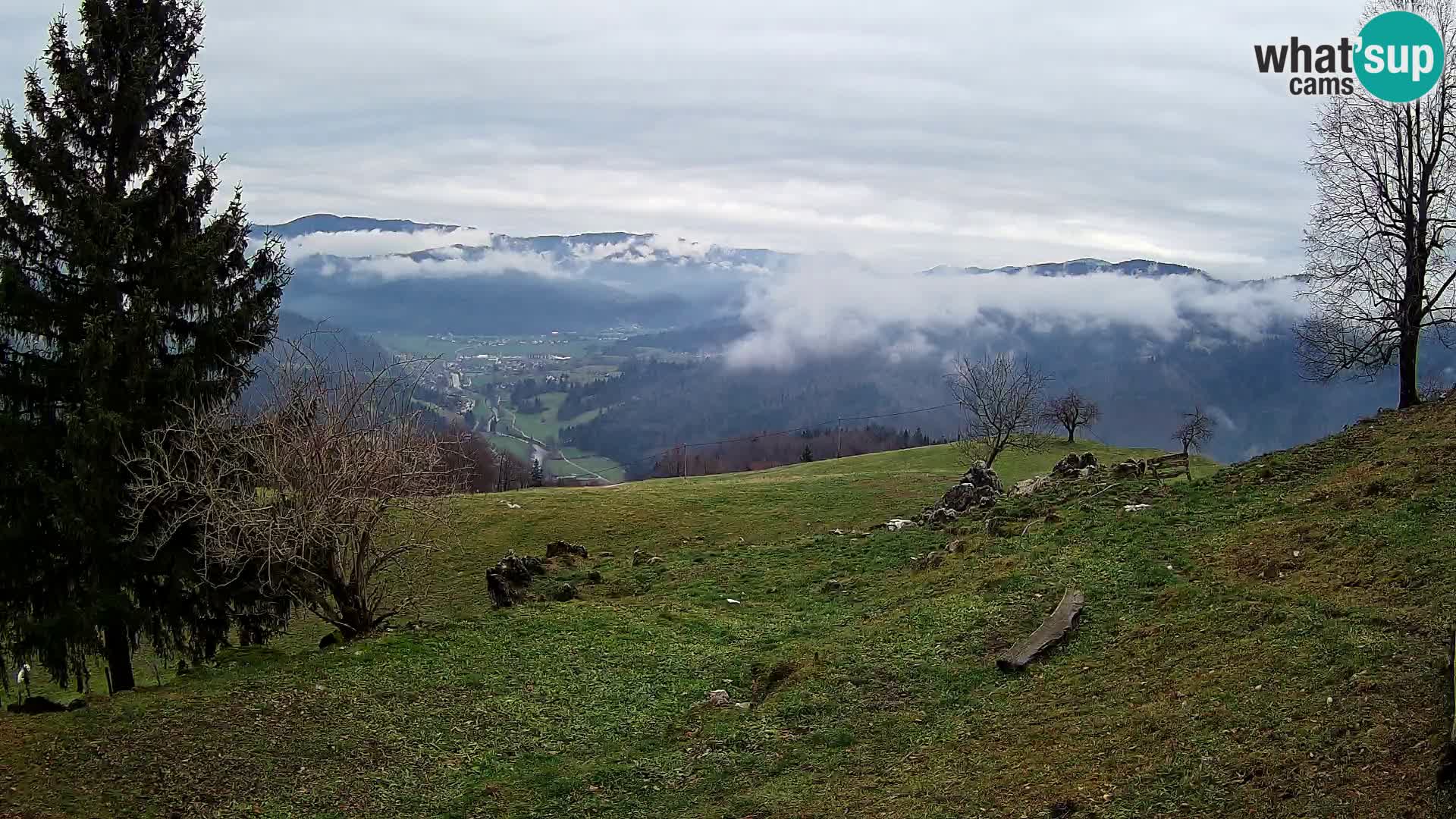 Slajka web kamera | Gorenja Vas | Slovenija