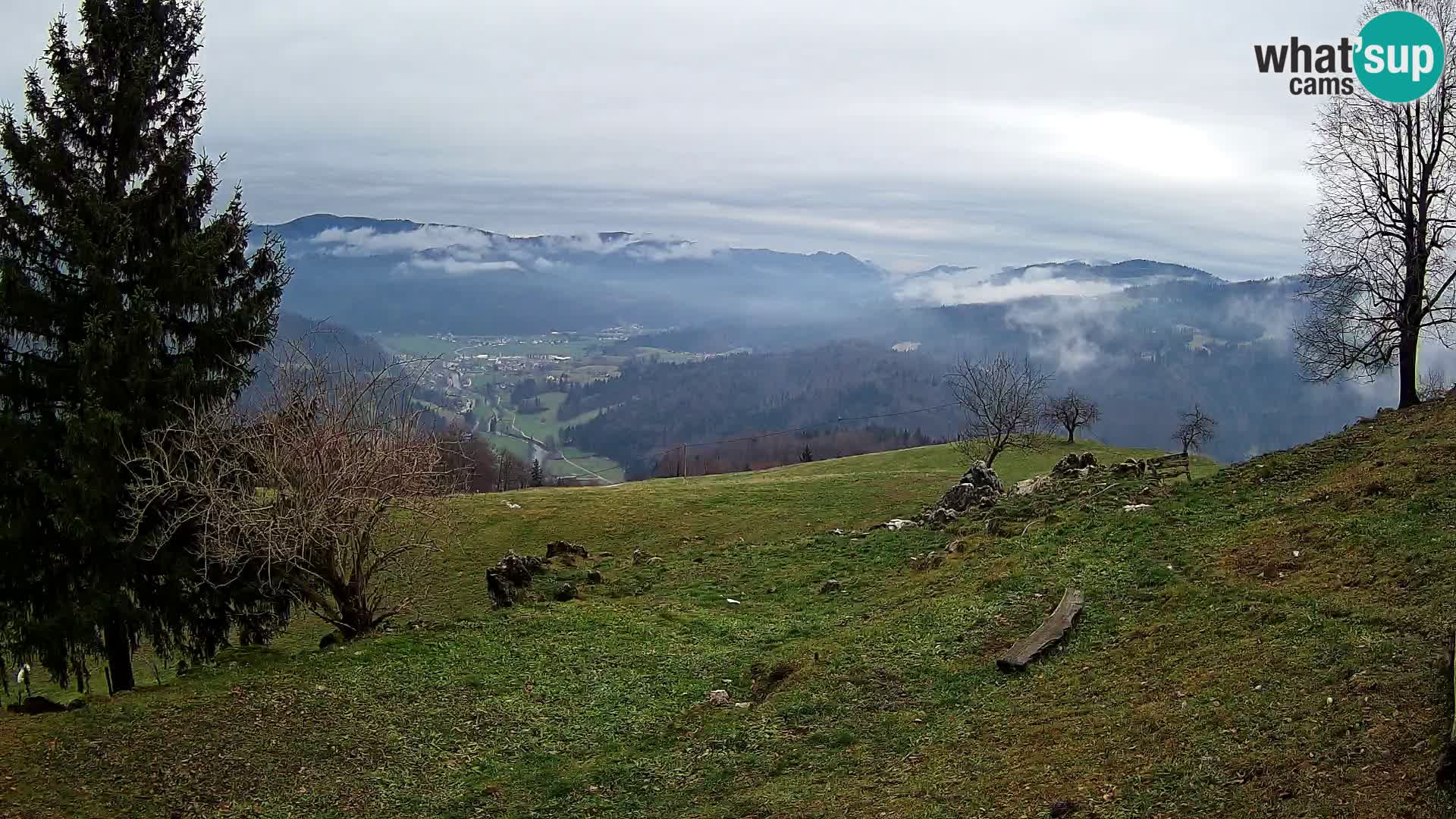 Slajka camera en vivo | Gorenja Vas | Eslovenia