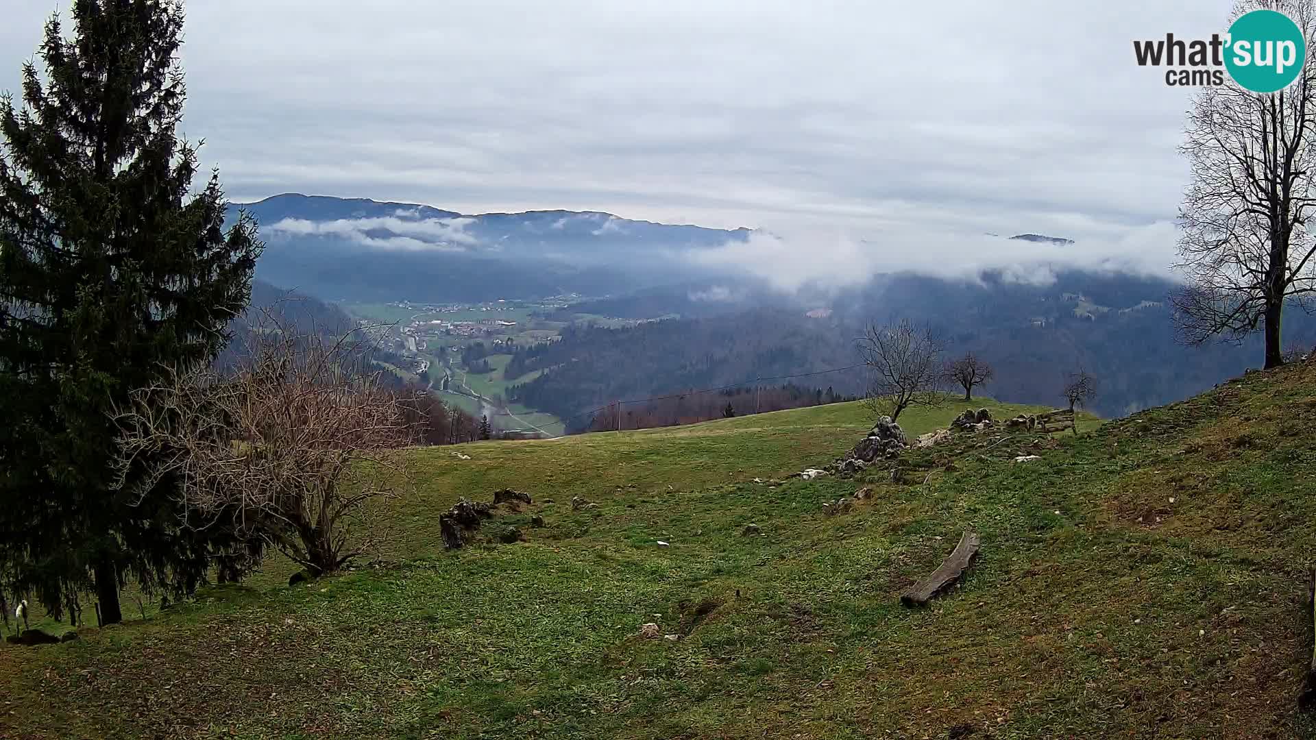 Slajka livecam | Gorenja Vas | Slovénie