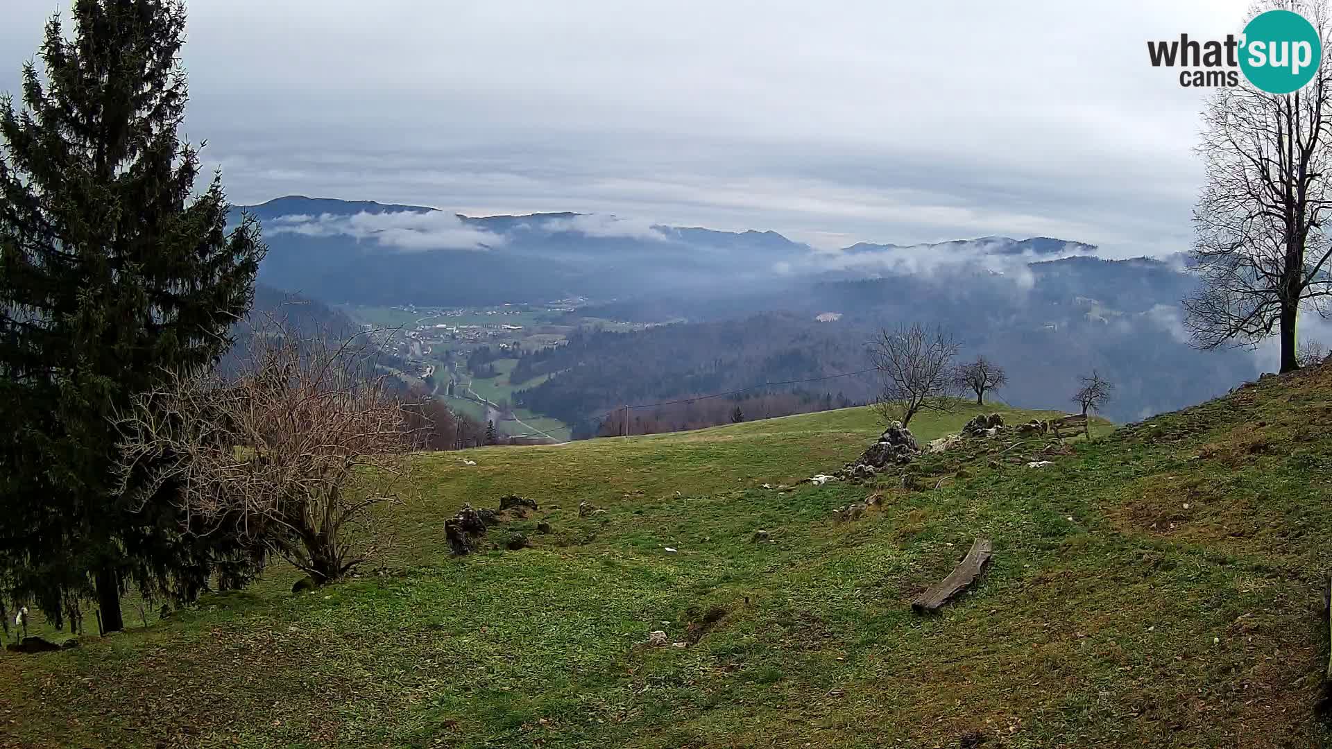 Slajka camera en vivo | Gorenja Vas | Eslovenia