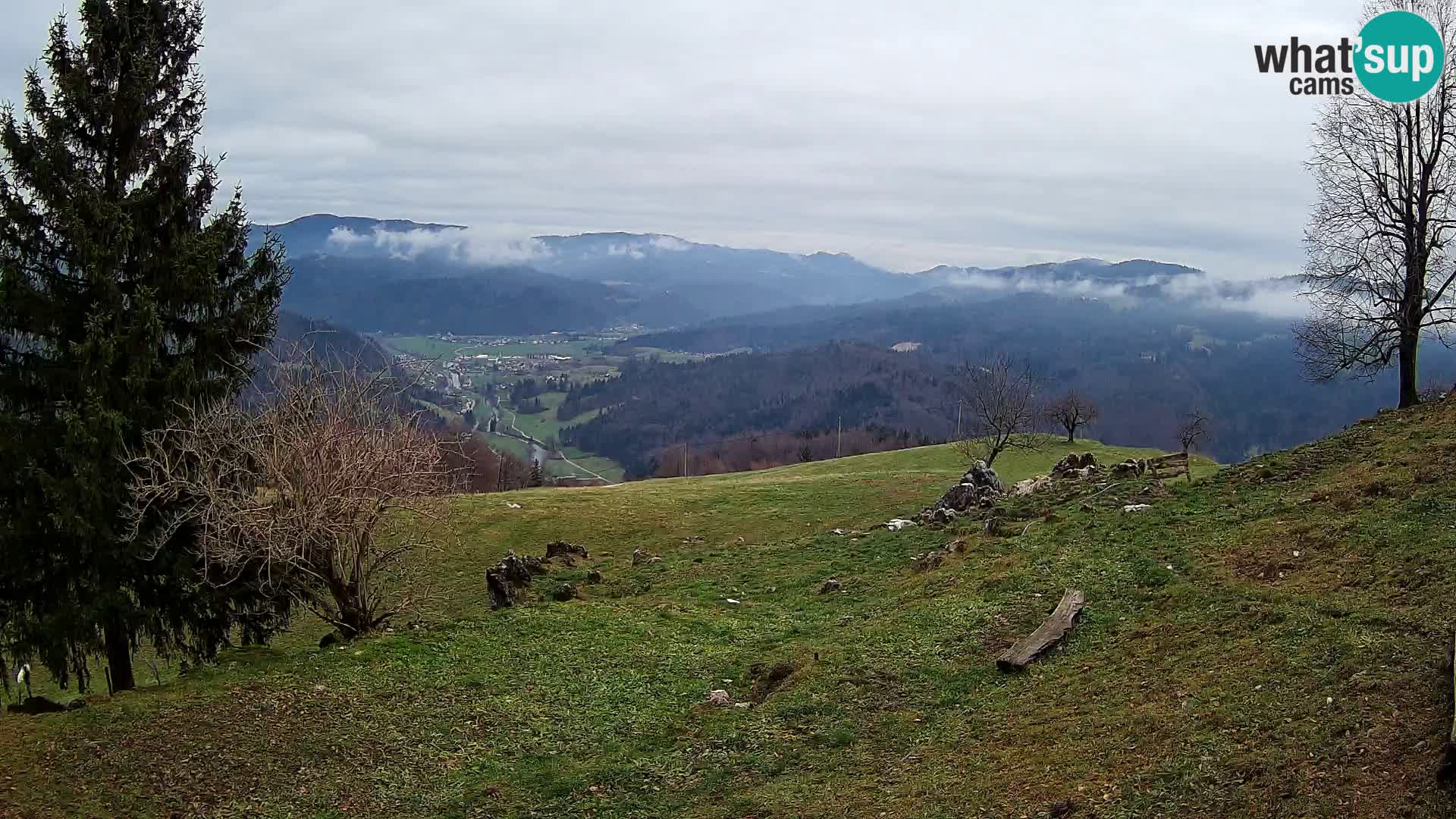 Slajka livecam | Gorenja Vas | Slovénie