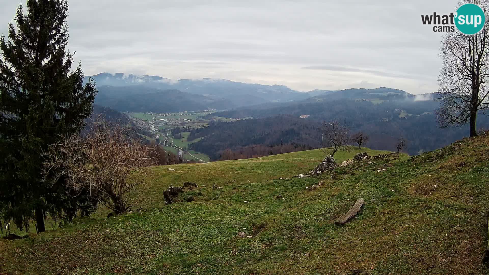 Slajka camera en vivo | Gorenja Vas | Eslovenia