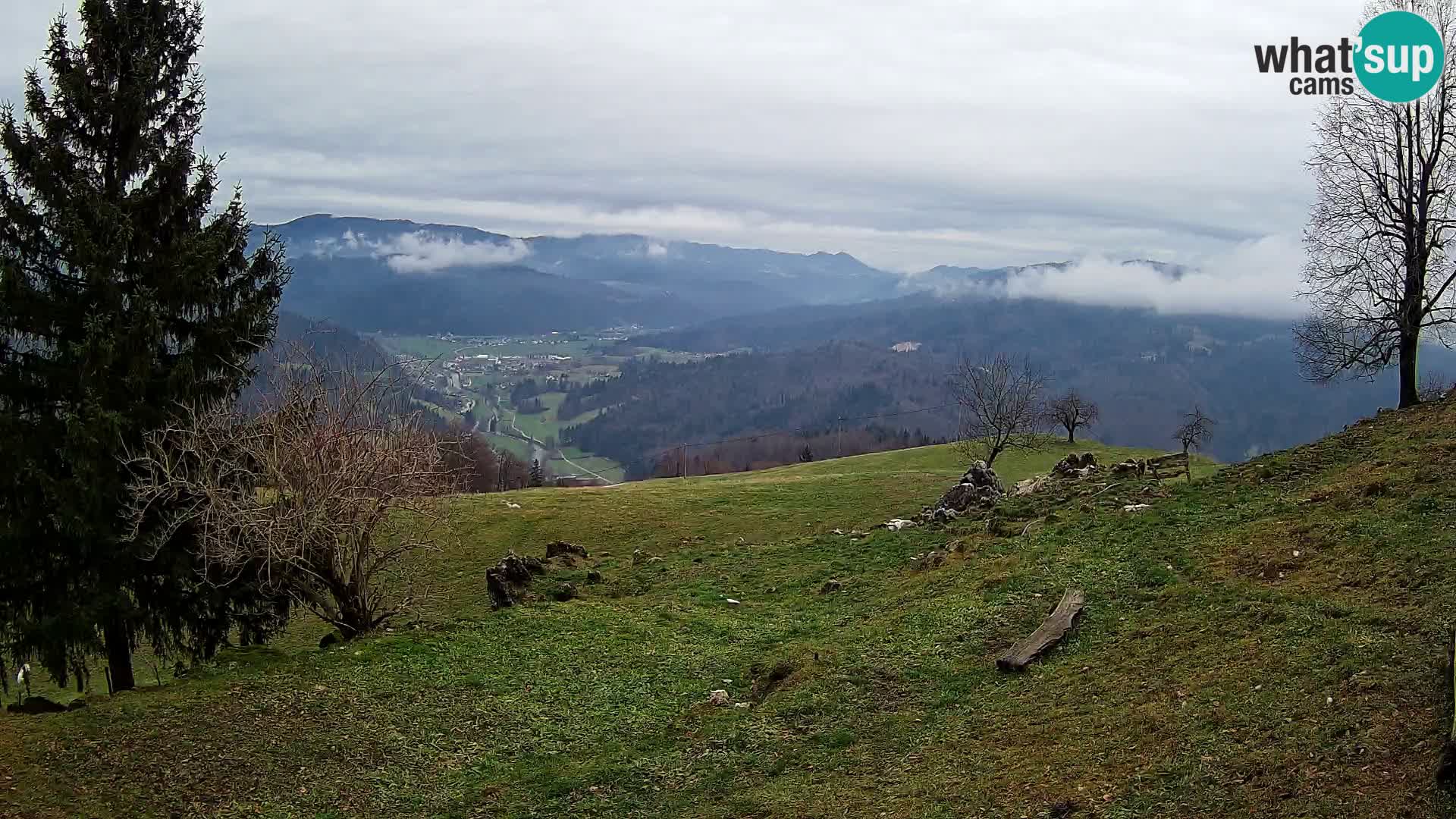 Slajka web kamera | Gorenja Vas | Slovenija