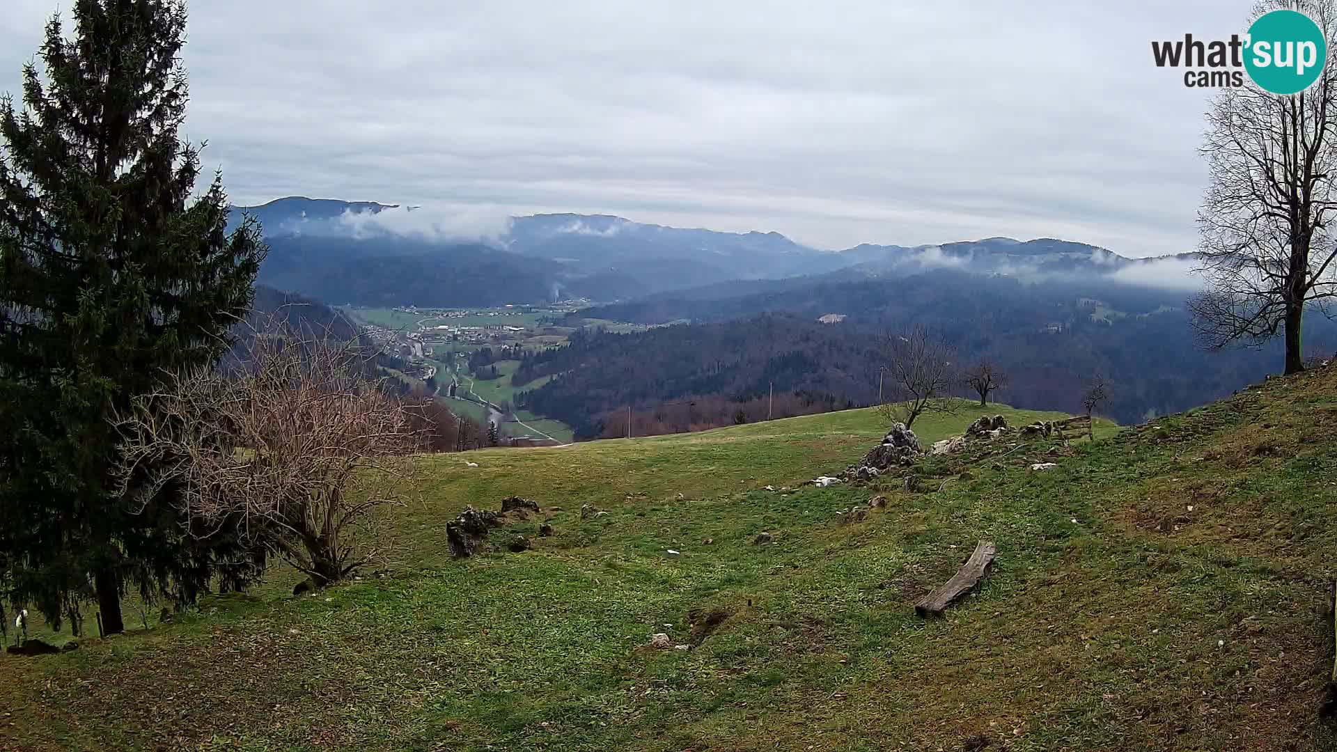 Slajka livecam | Gorenja Vas | Slovénie