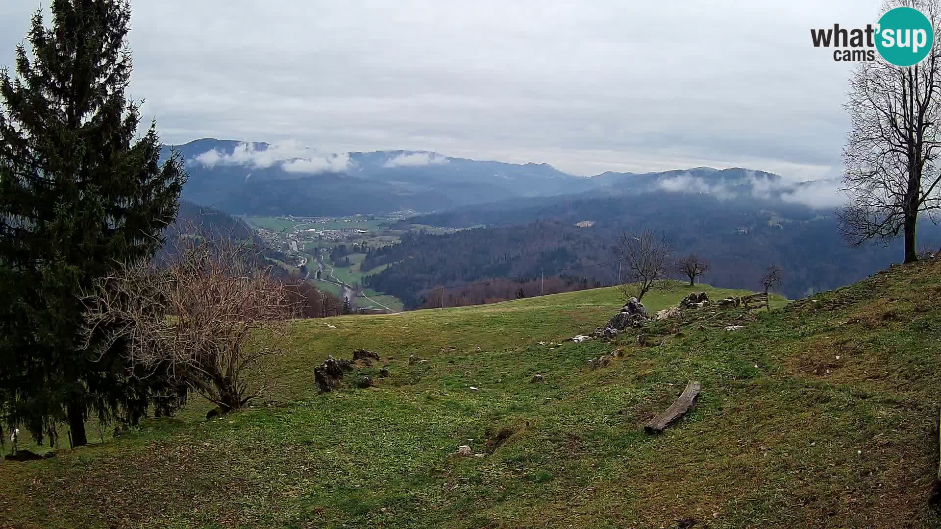 Slajka webam | Gorenja vas | Slovenia