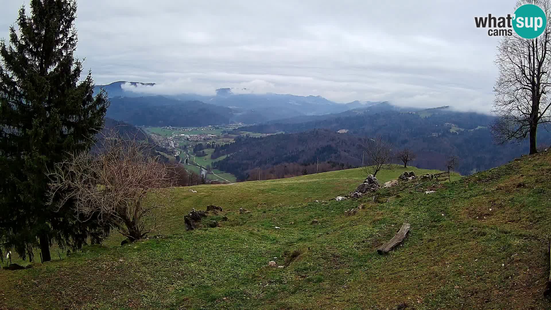 Slajka webam | Gorenja vas | Slovenia