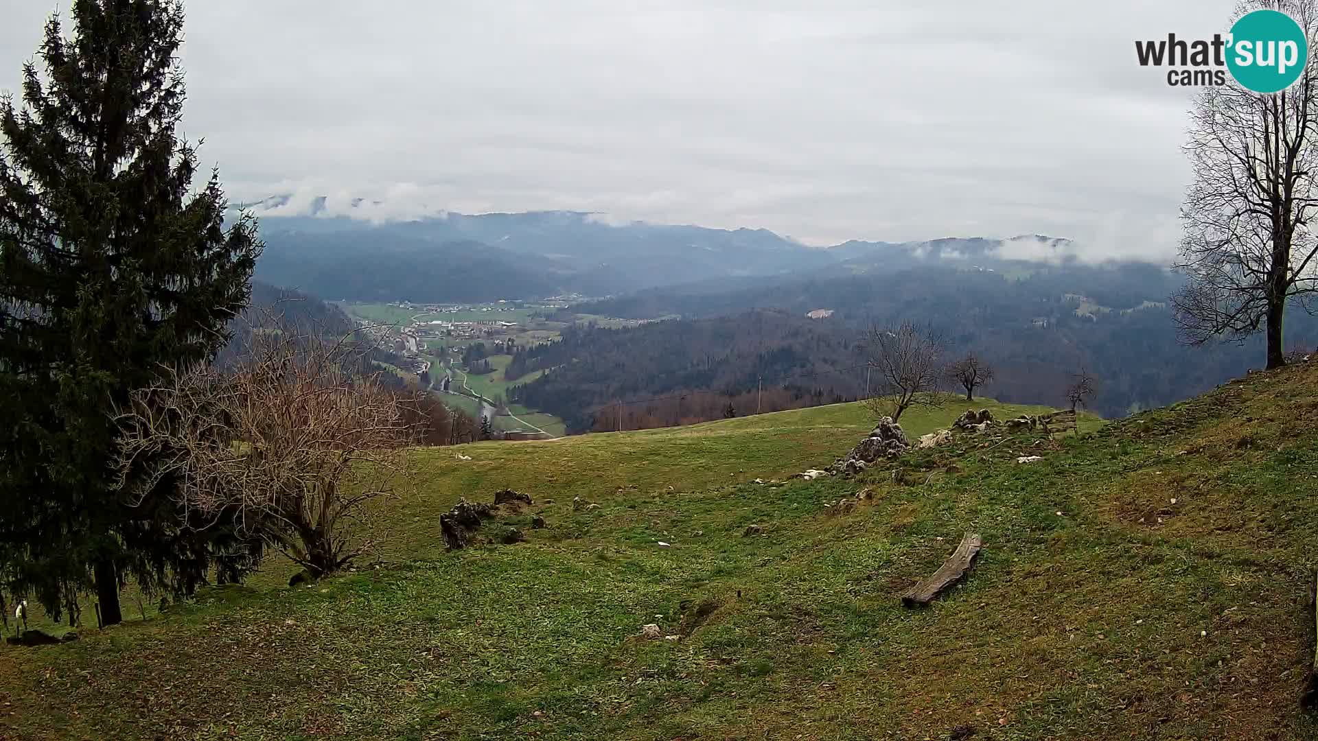 Slajka webcam | Gorenja Vas | Slowenien