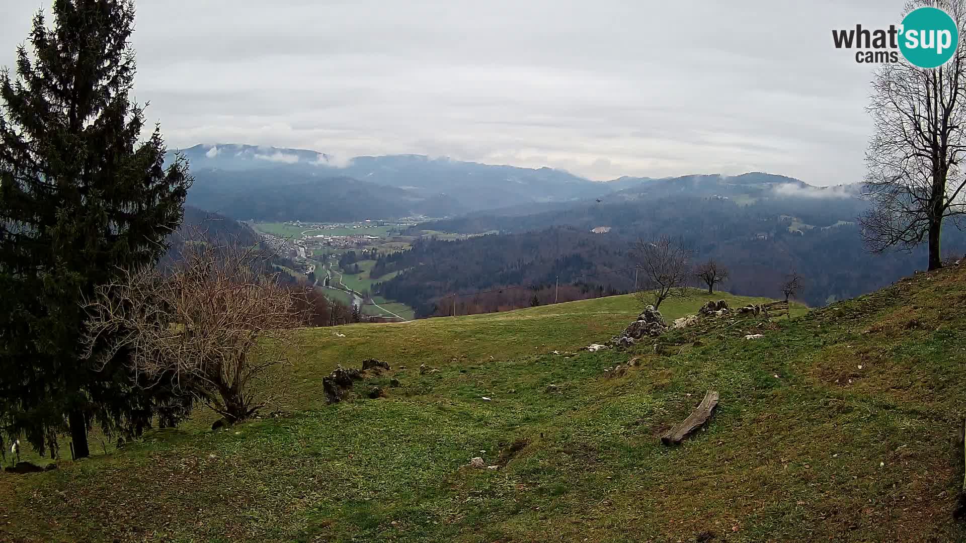 Slajka webcam | Gorenja Vas | Slowenien