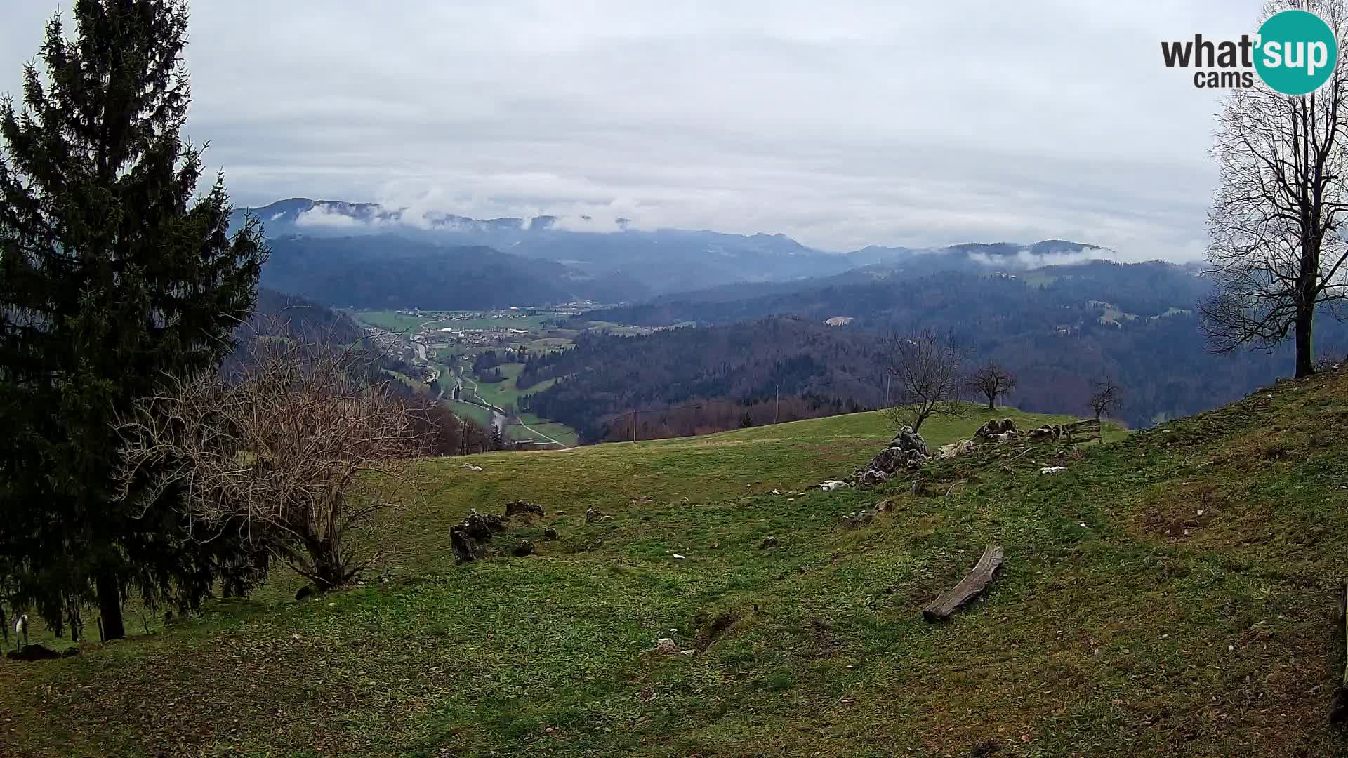 Slajka webam | Gorenja vas | Slovenia