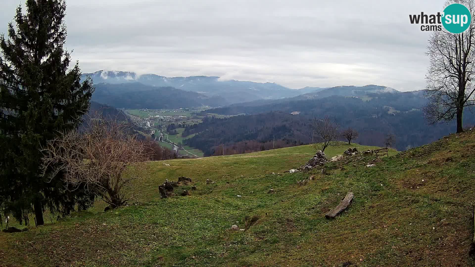 Slajka webcam | Gorenja Vas | Slowenien