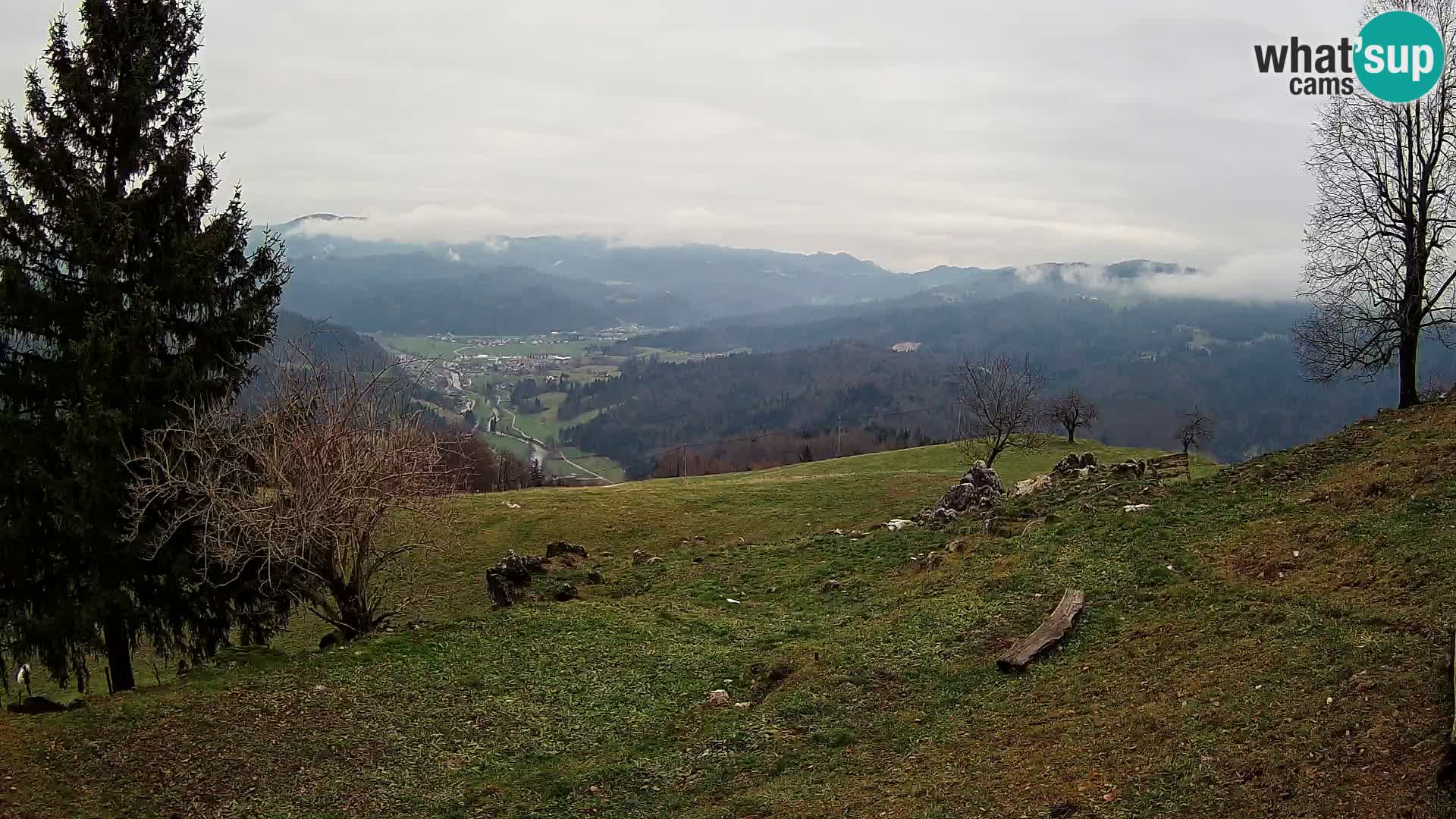 Slajka camera en vivo | Gorenja Vas | Eslovenia