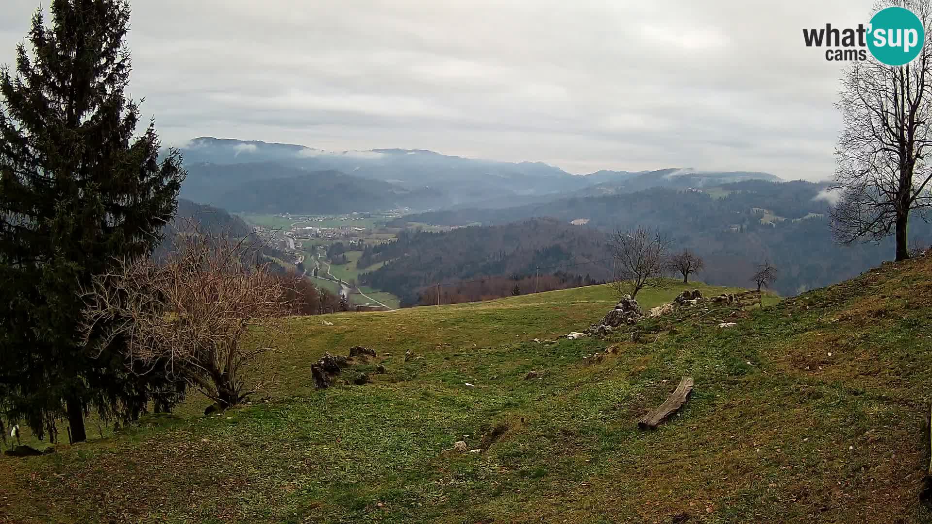 Slajka camera en vivo | Gorenja Vas | Eslovenia