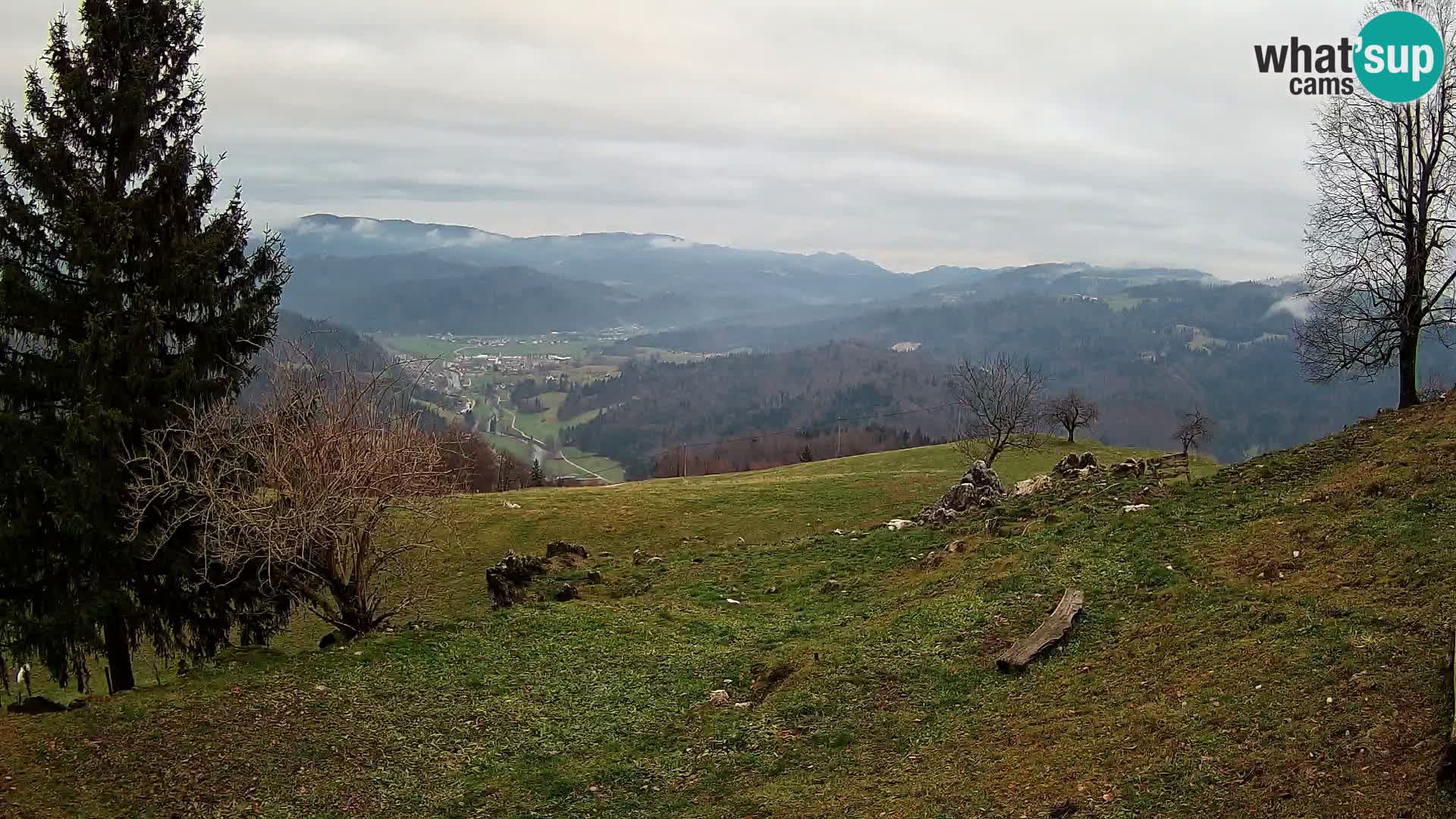 Slajka camera en vivo | Gorenja Vas | Eslovenia