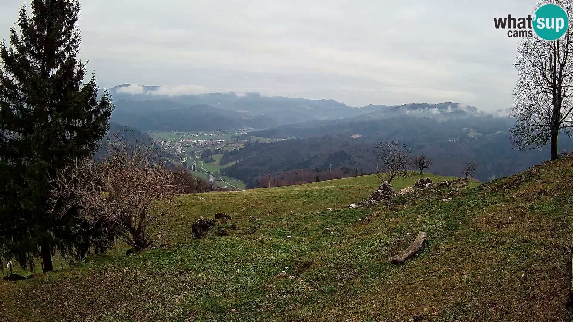 Slajka camera en vivo | Gorenja Vas | Eslovenia