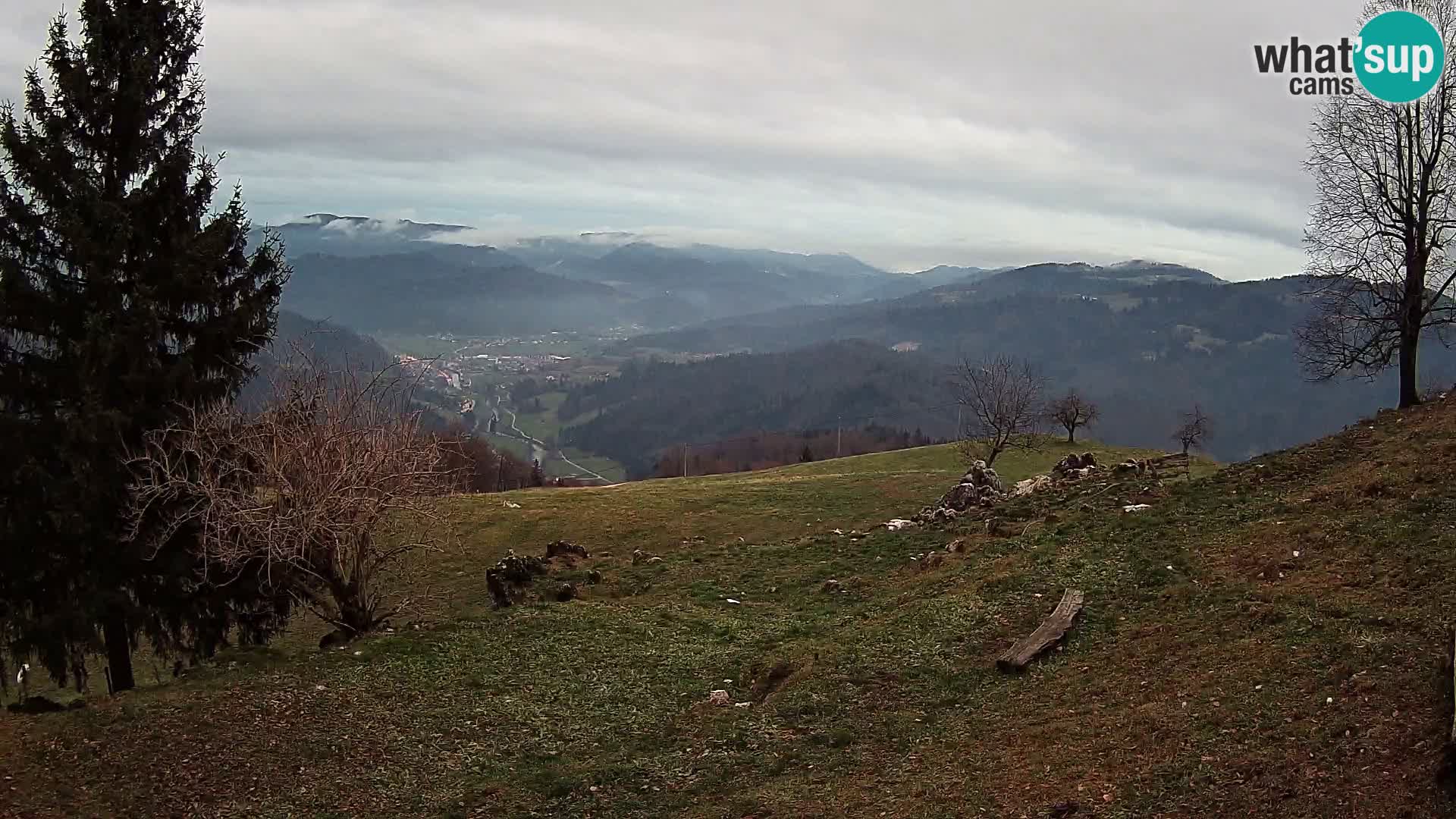Slajka camera en vivo | Gorenja Vas | Eslovenia