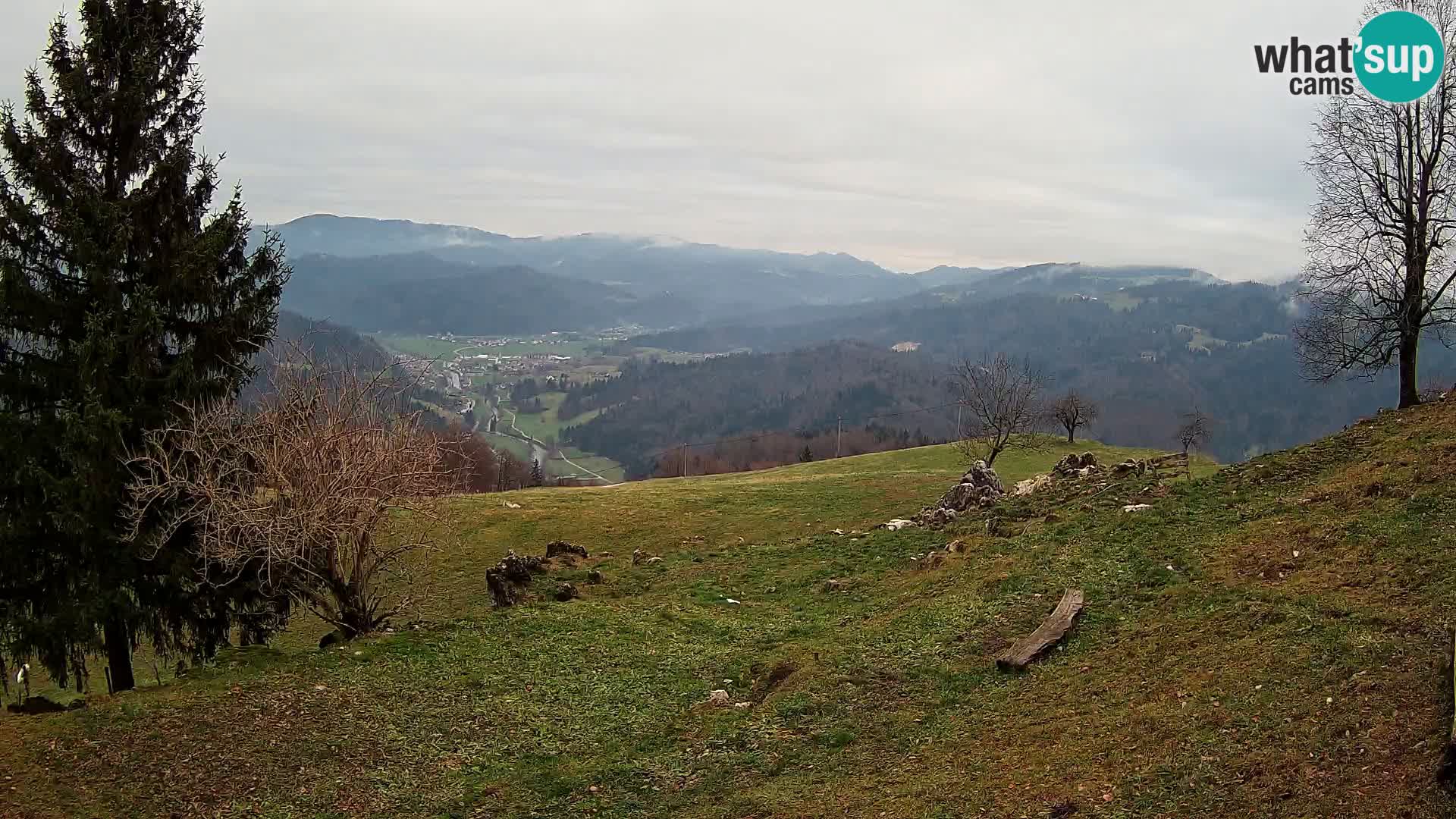 Slajka webcam | Gorenja Vas | Slowenien