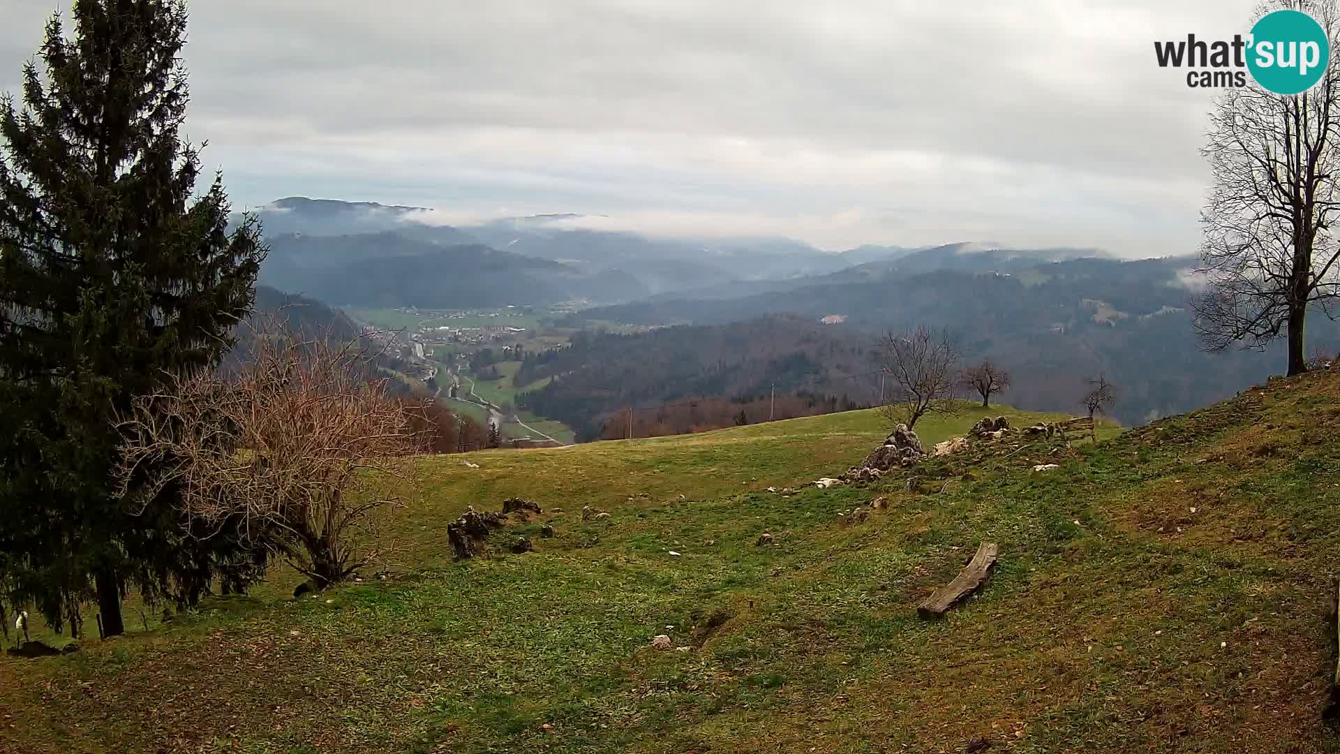 Slajka livecam | Gorenja Vas | Slovénie