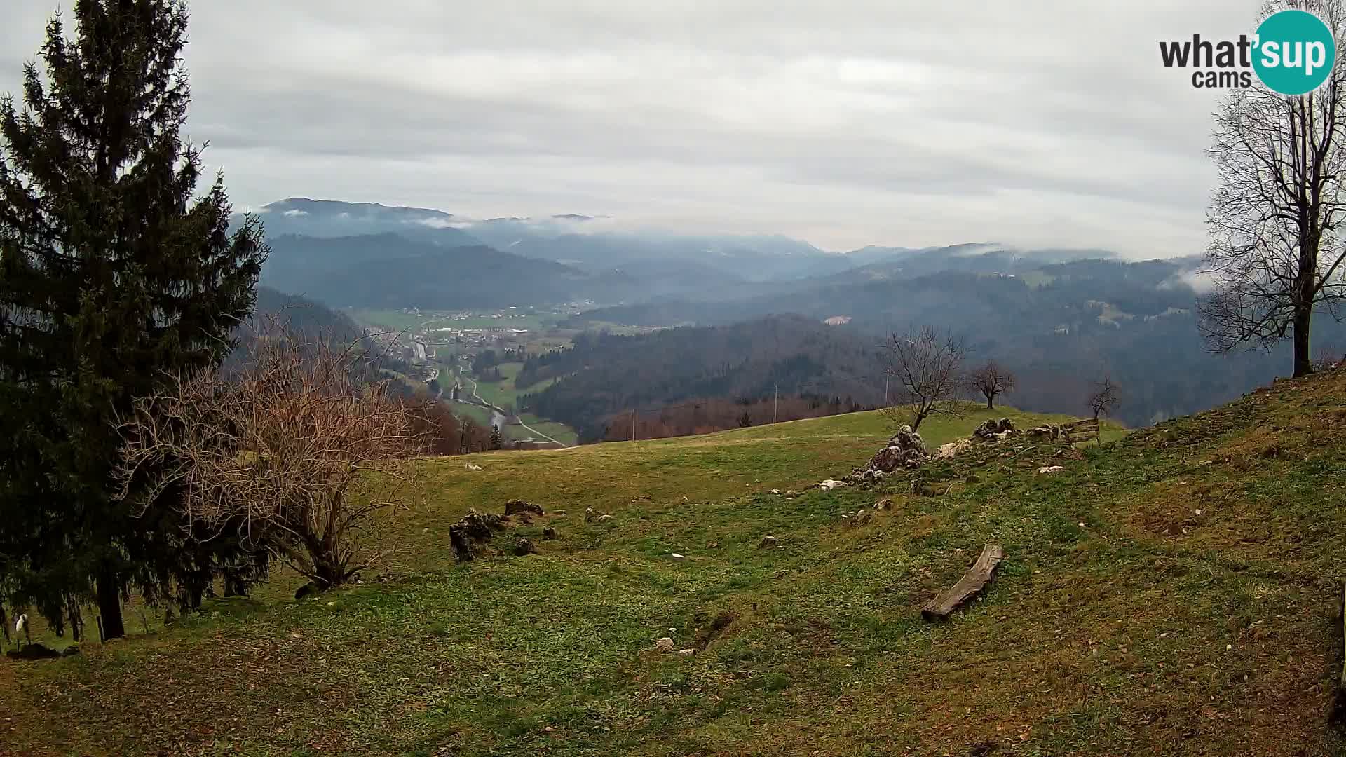 Slajka webcam | Gorenja Vas | Slowenien