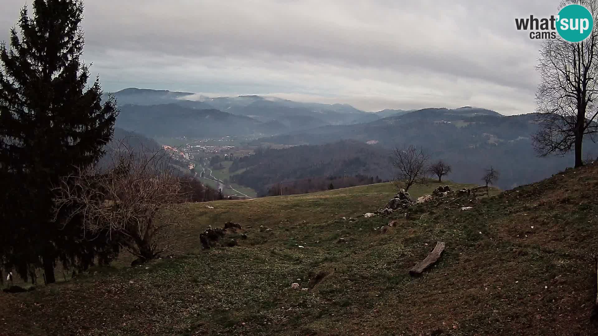 Slajka livecam | Gorenja Vas | Slovénie