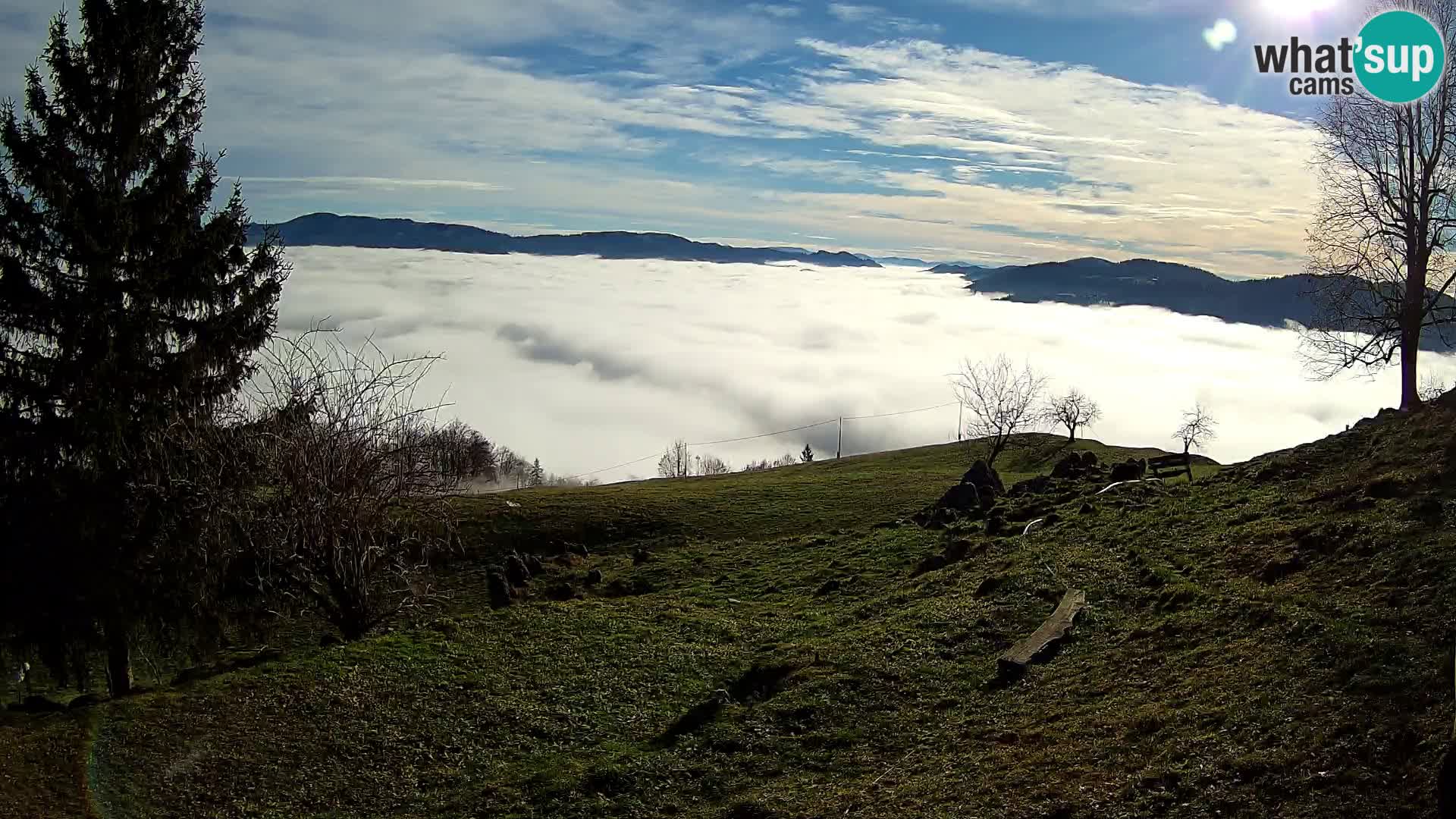 Slajka livecam | Gorenja Vas | Slovénie