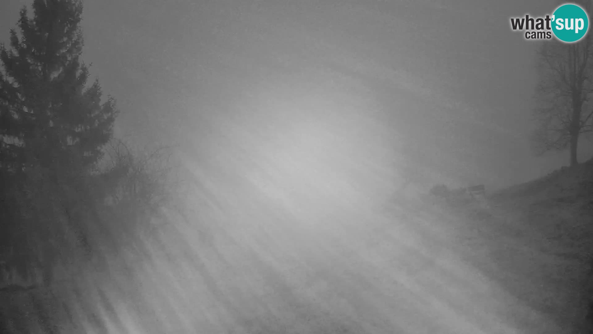 Slajka camera en vivo | Gorenja Vas | Eslovenia