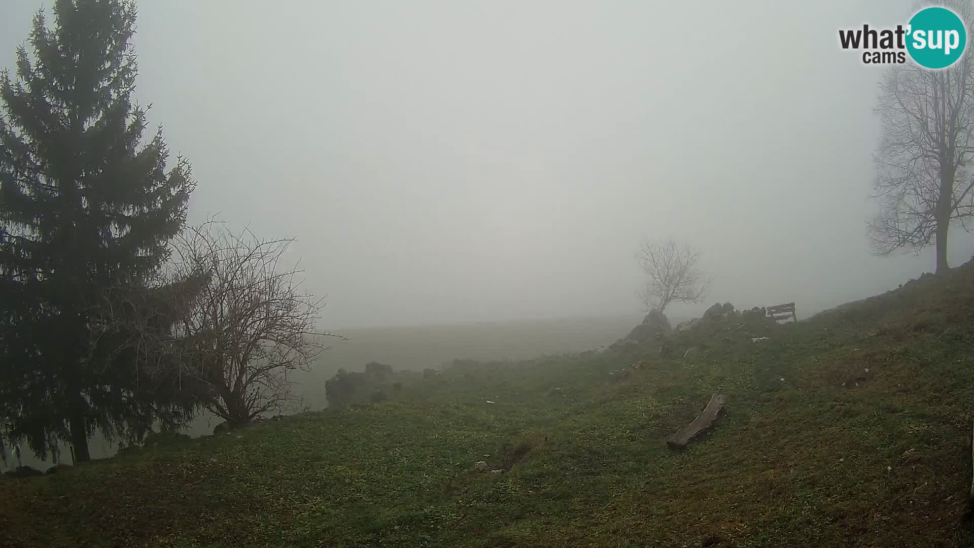 Slajka webam | Gorenja vas | Slovenia