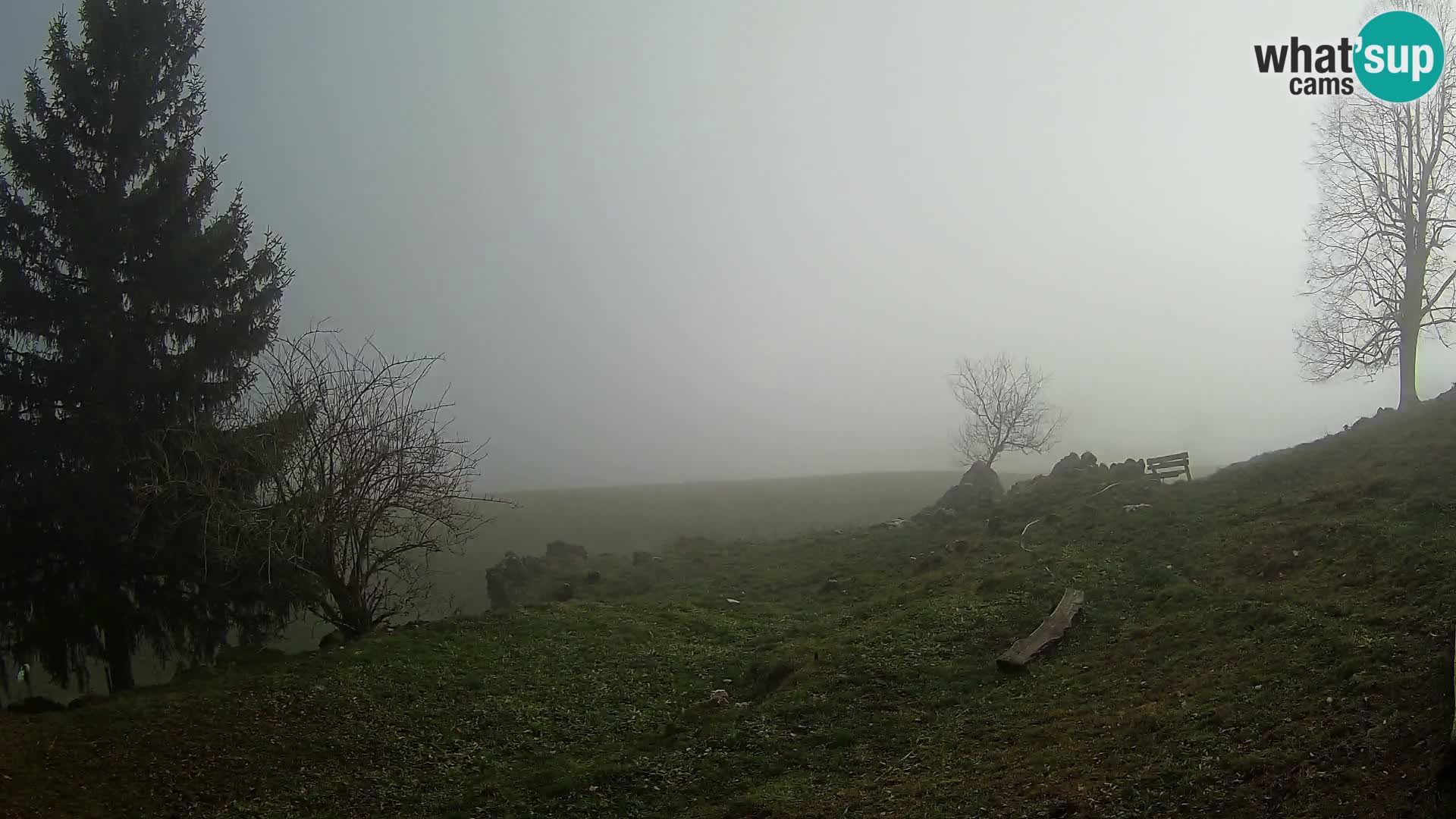 Slajka webam | Gorenja vas | Slovenia