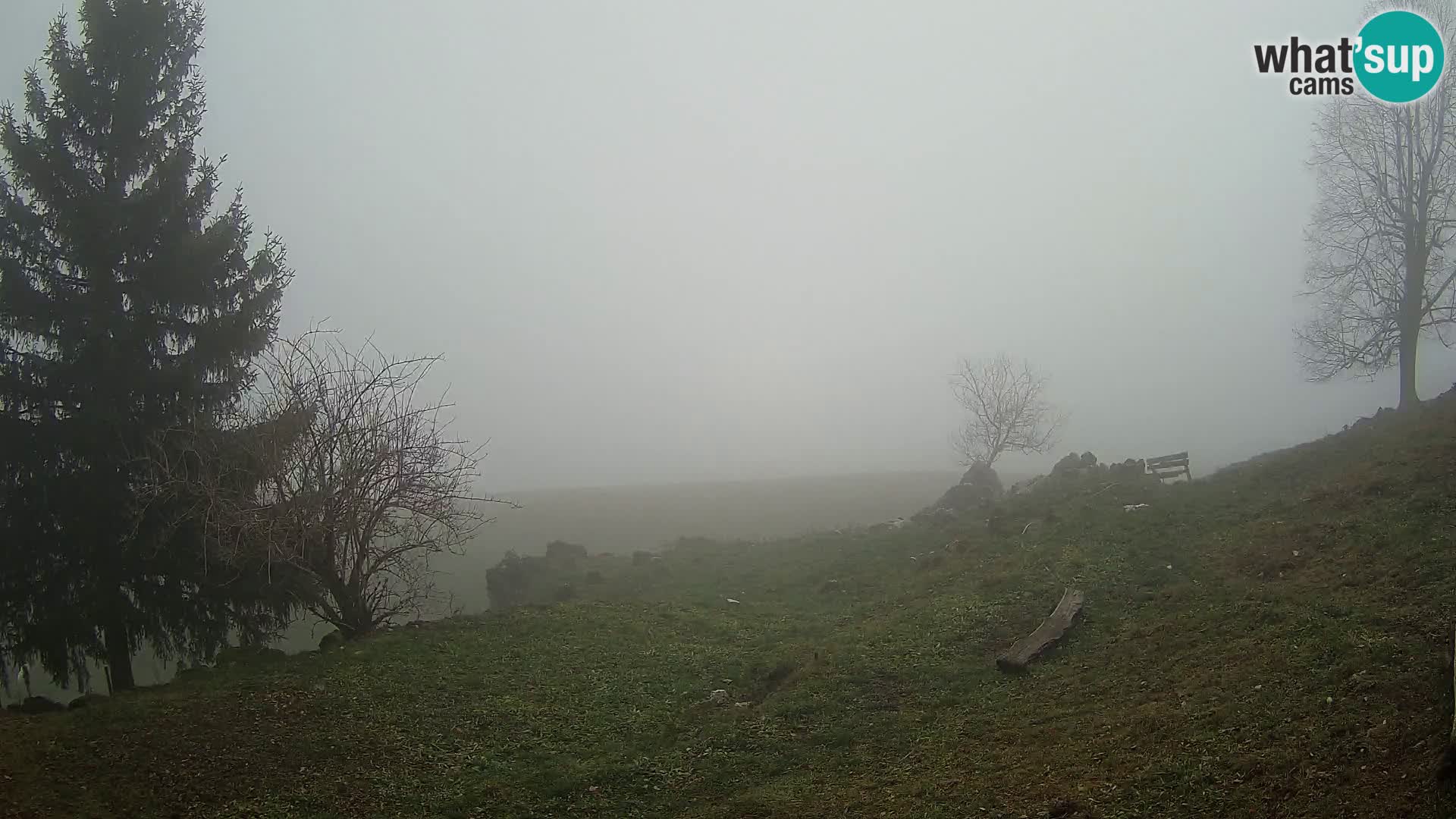 Slajka camera en vivo | Gorenja Vas | Eslovenia