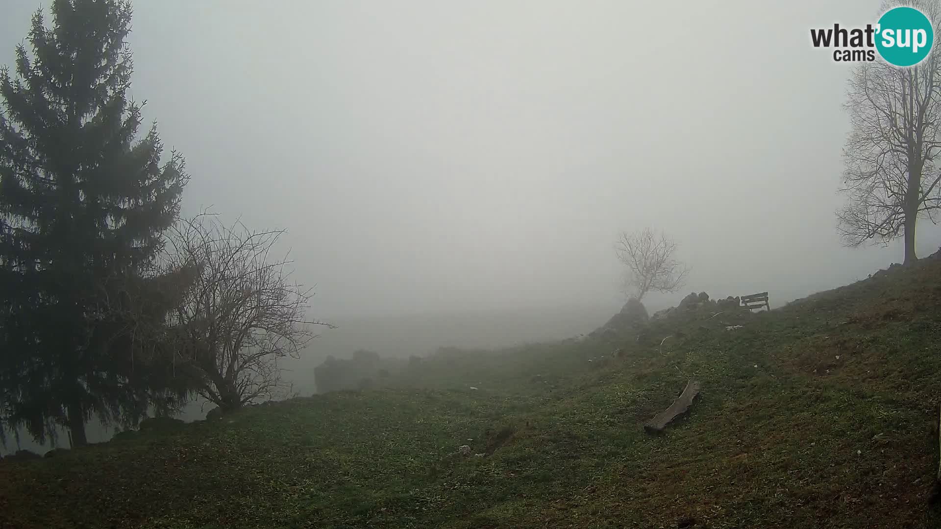 Slajka webam | Gorenja vas | Slovenia