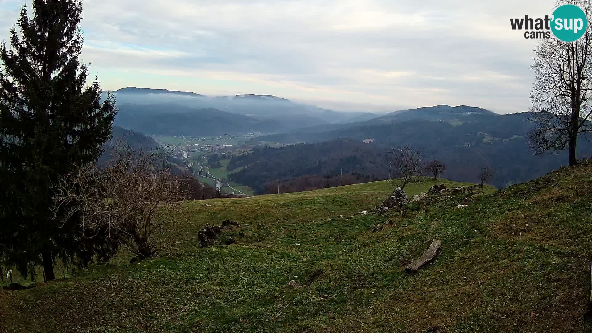 Slajka livecam | Gorenja Vas | Slovénie