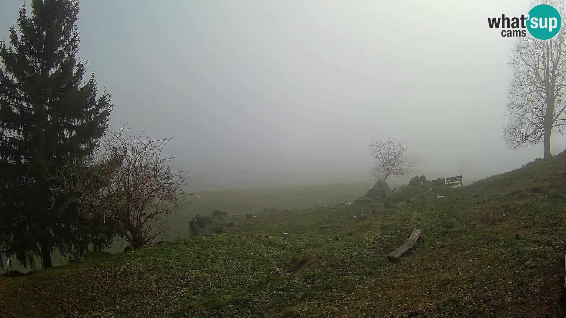 Slajka webcam | Gorenja Vas | Slowenien