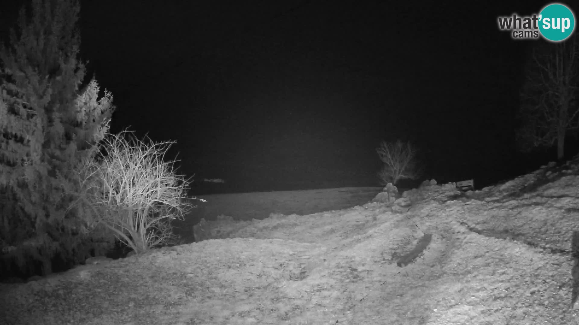 Slajka camera en vivo | Gorenja Vas | Eslovenia