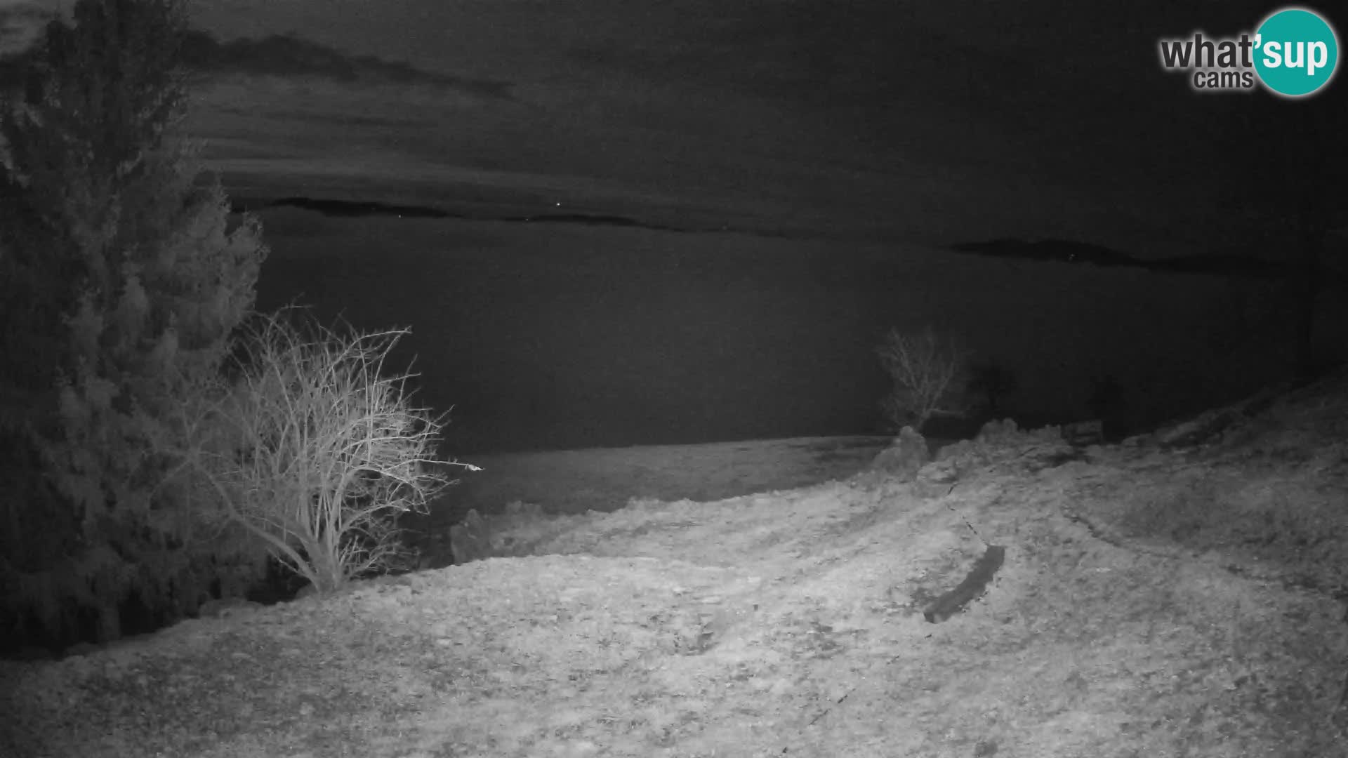 Slajka livecam | Gorenja Vas | Slovénie