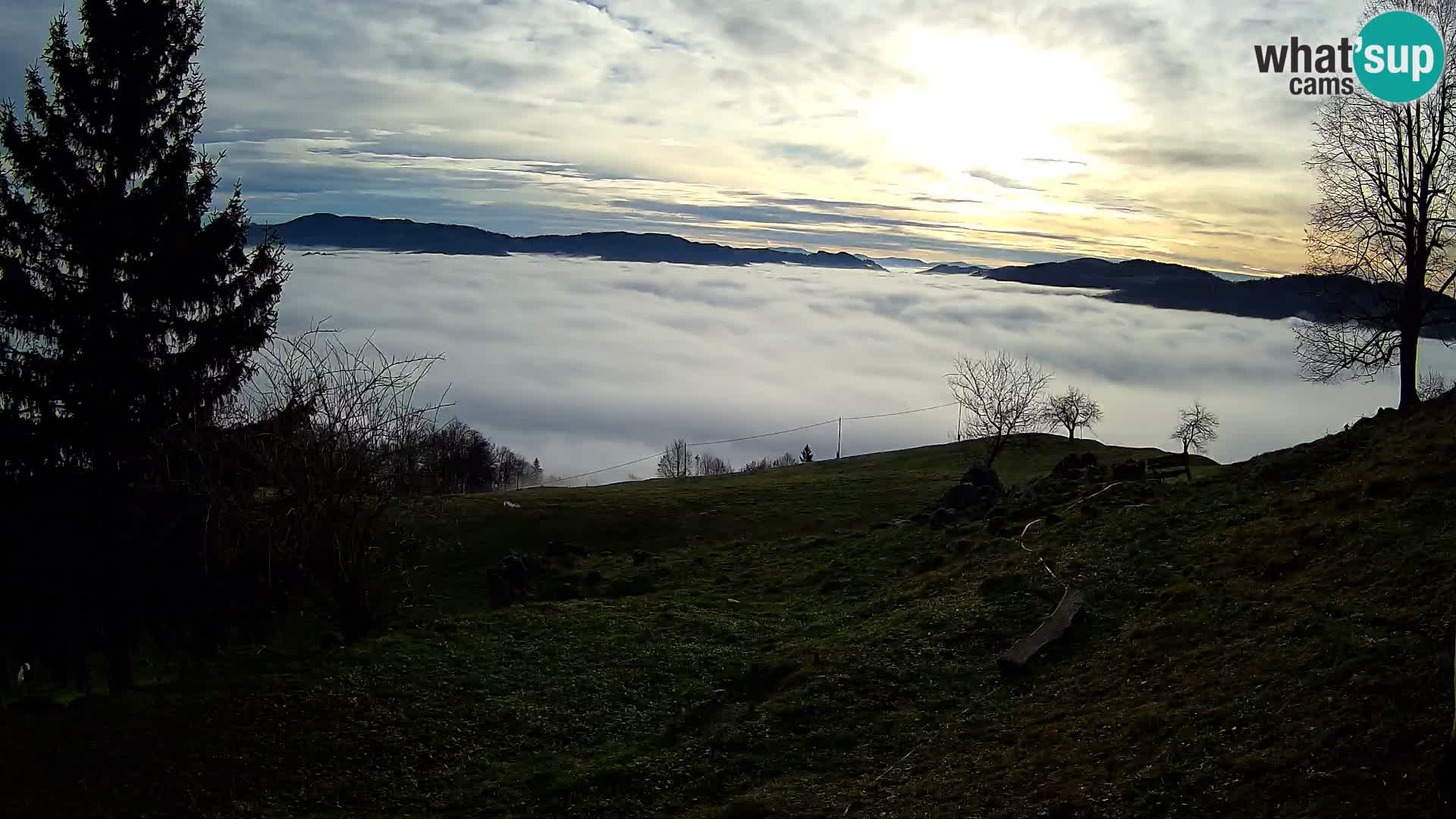 Slajka camera en vivo | Gorenja Vas | Eslovenia