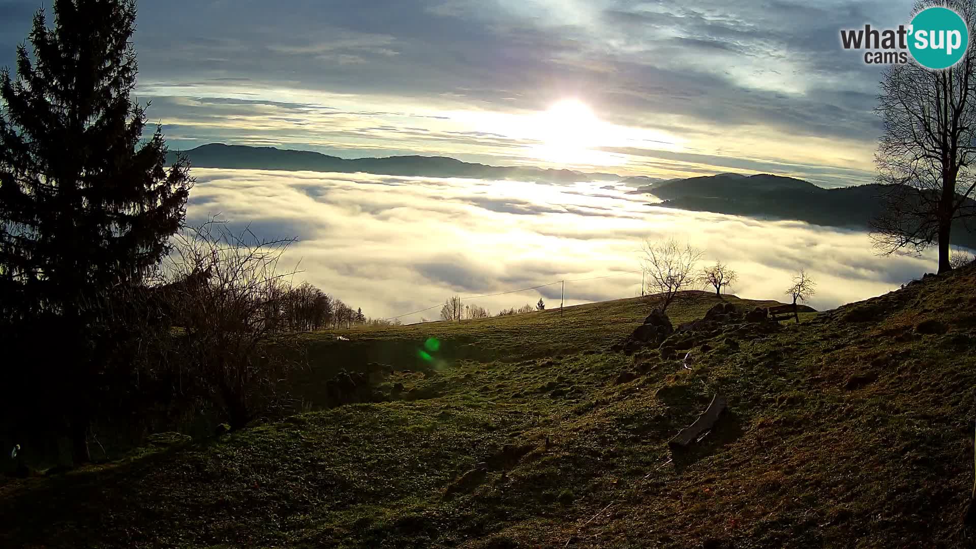 Slajka webam | Gorenja vas | Slovenia