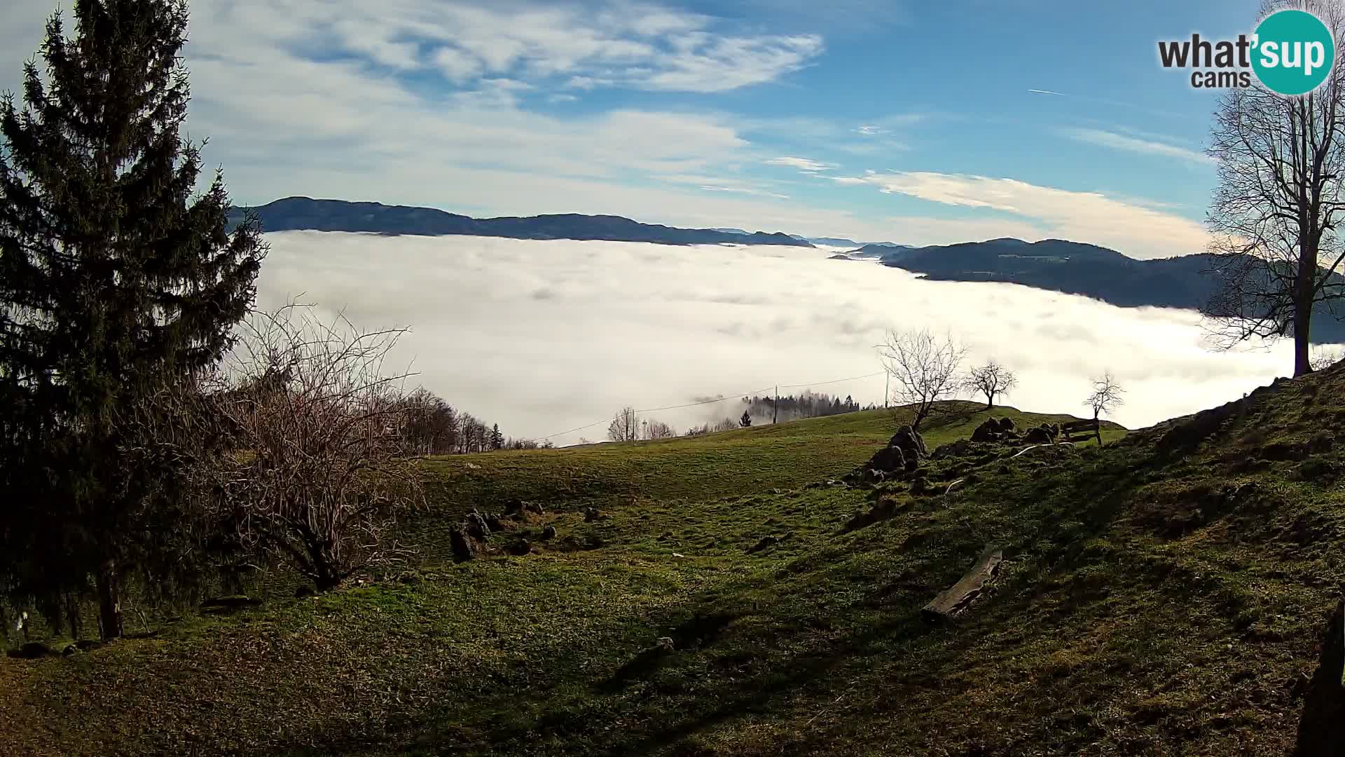 Slajka webcam | Gorenja Vas | Slowenien