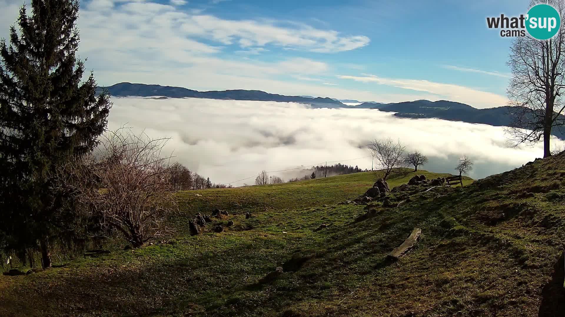 Slajka webam | Gorenja vas | Slovenia