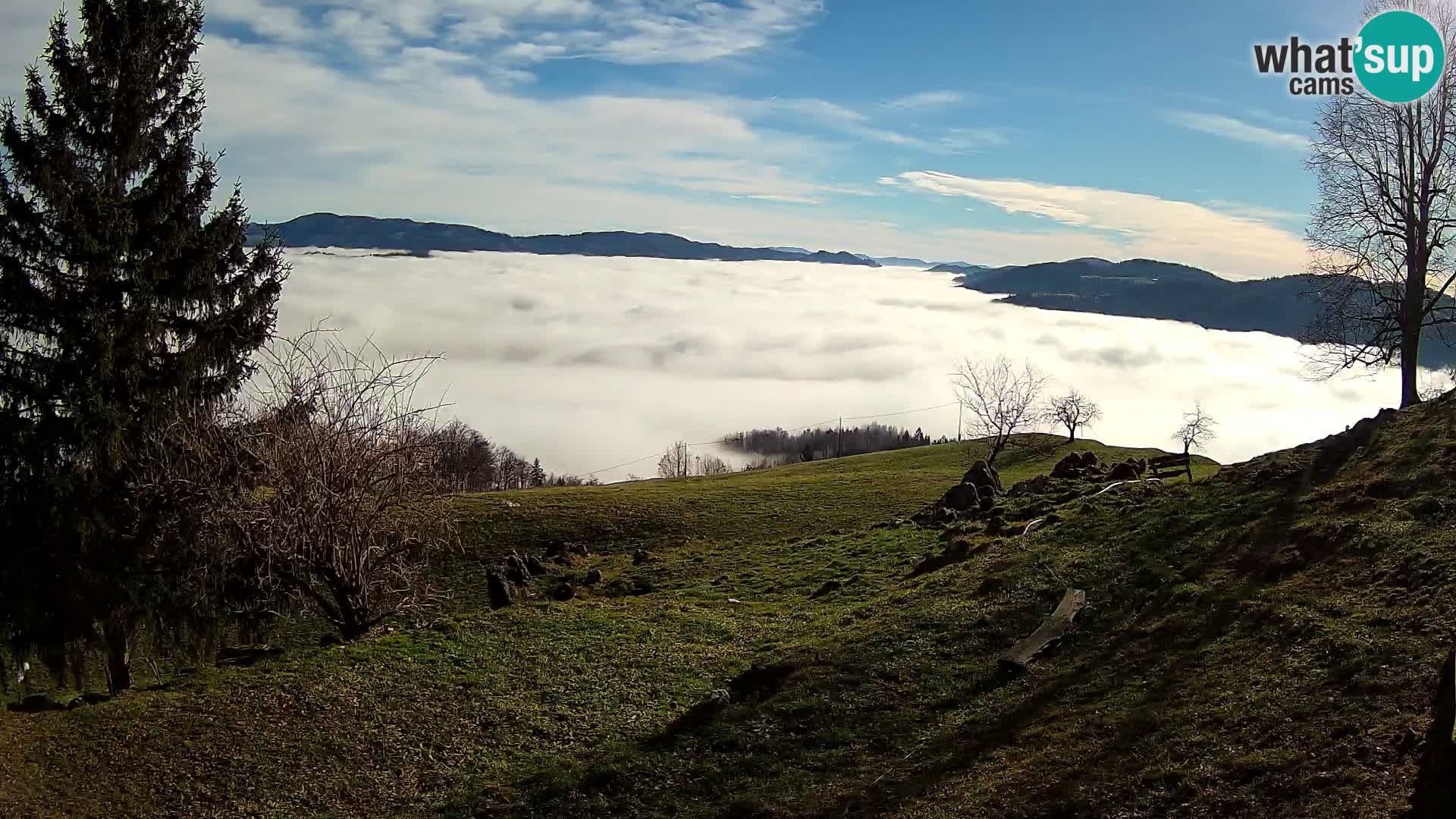 Slajka web kamera | Gorenja Vas | Slovenija