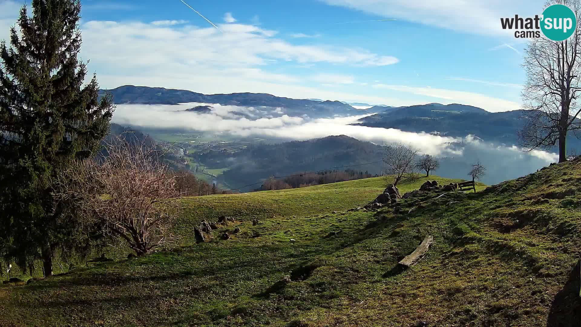Slajka livecam | Gorenja Vas | Slovénie