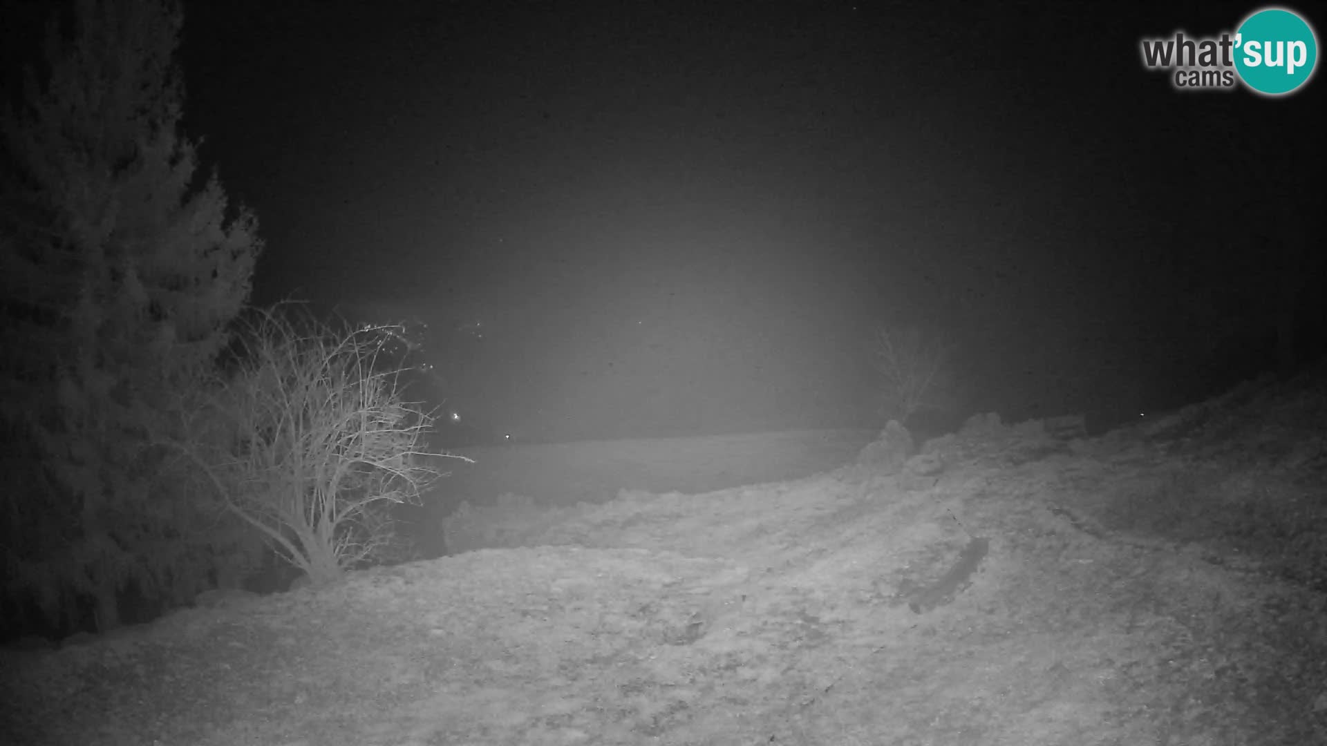 Slajka livecam | Gorenja Vas | Slovénie